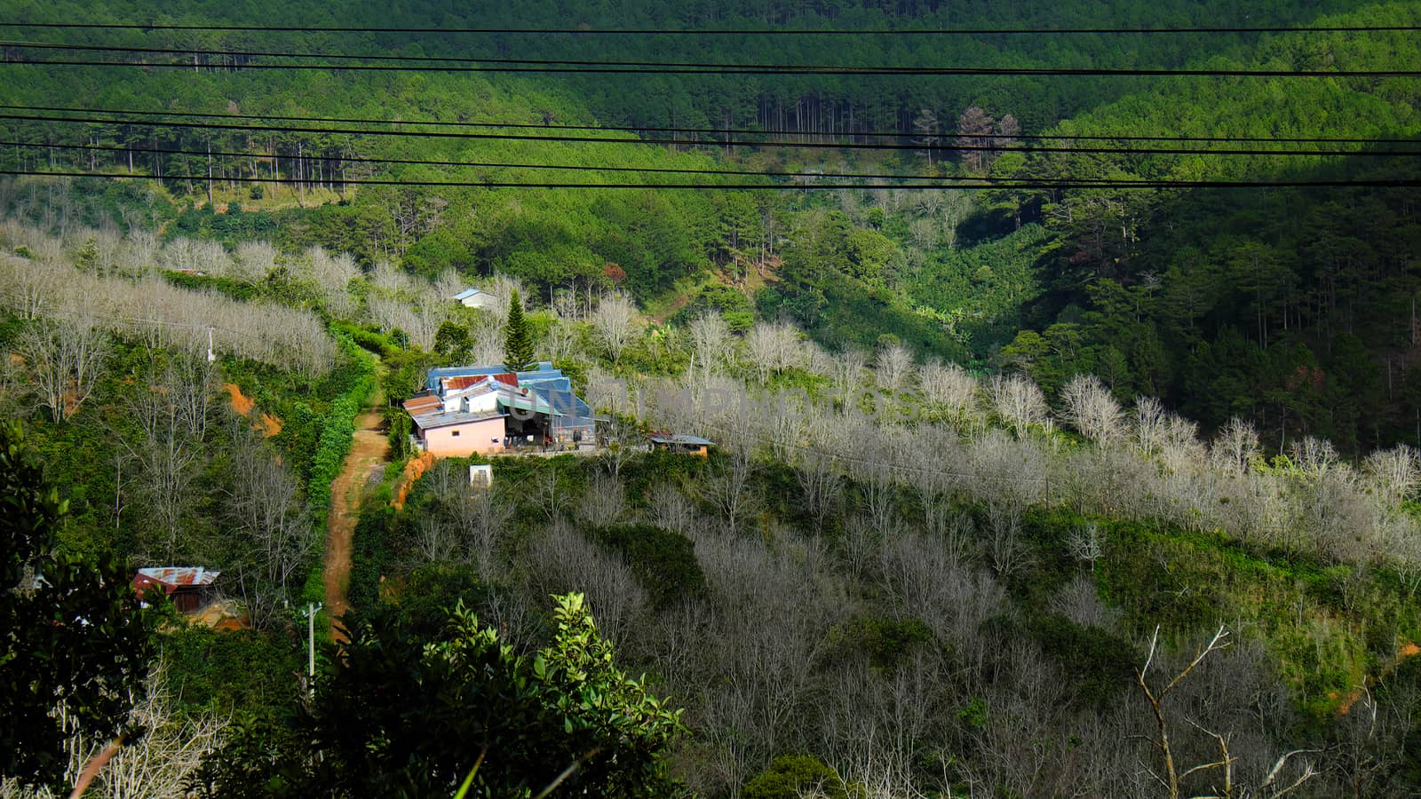 panorama, Dalat countryside, Vietnam, hill, mountain by xuanhuongho