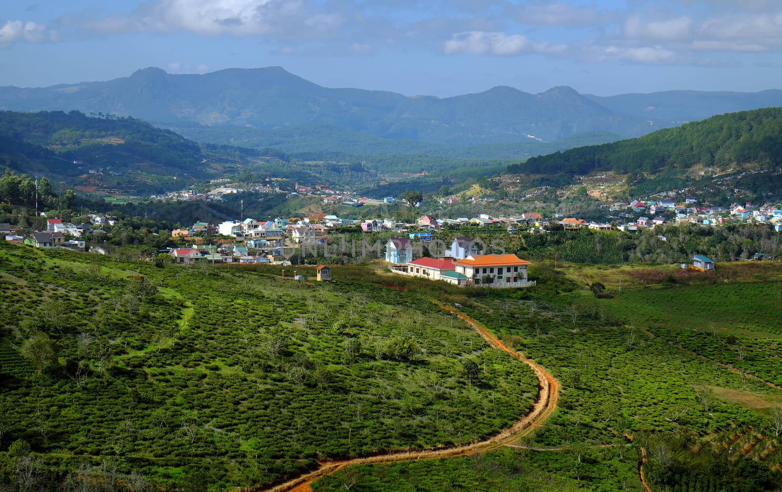 panorama, Dalat countryside, Vietnam, hill, mountain by xuanhuongho