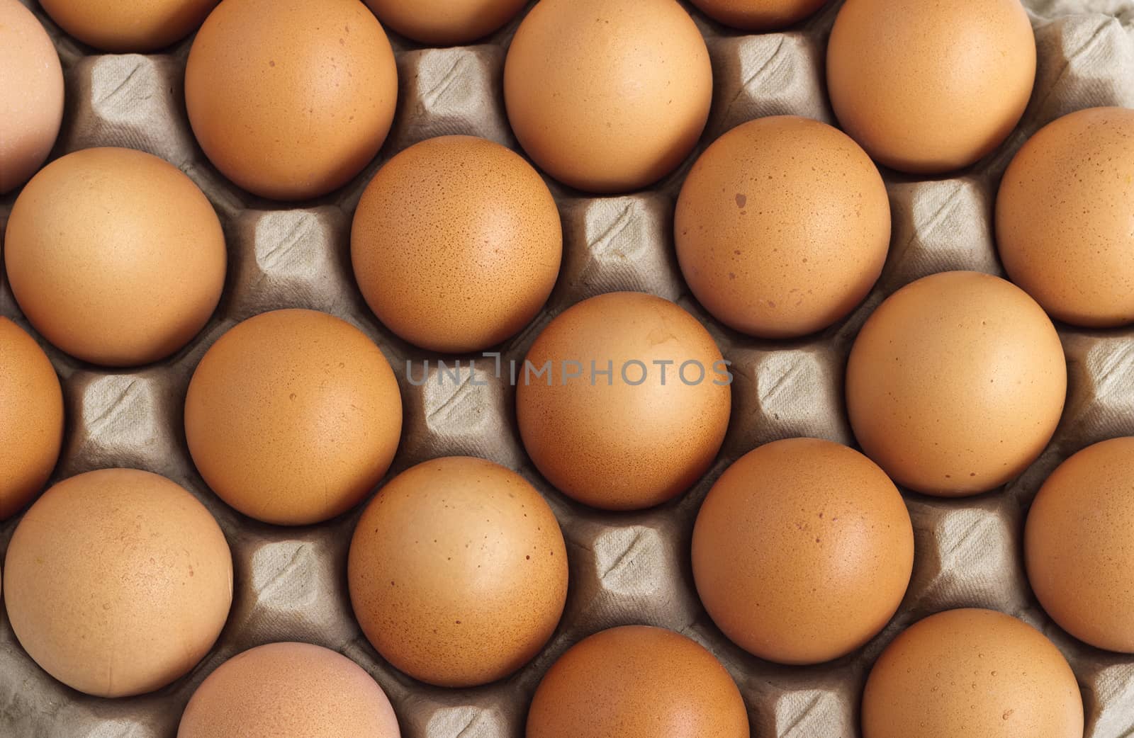 Group of fresh eggs in paper tray