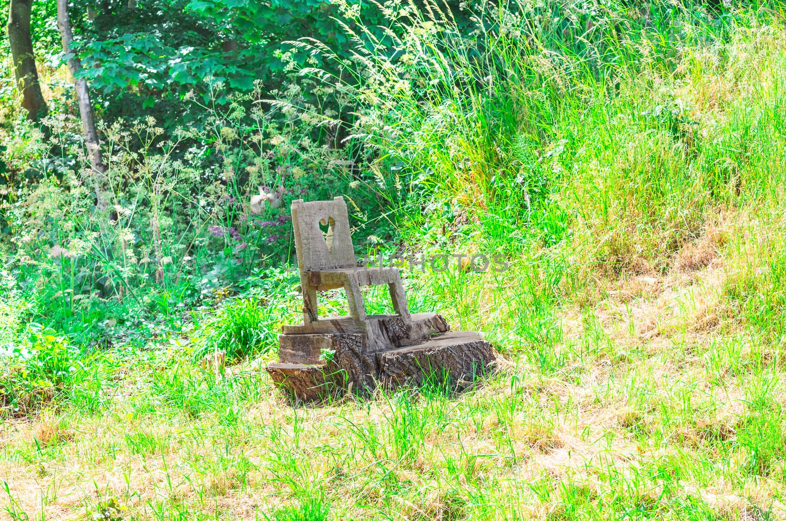 Small wooden chair cut from a tree stump