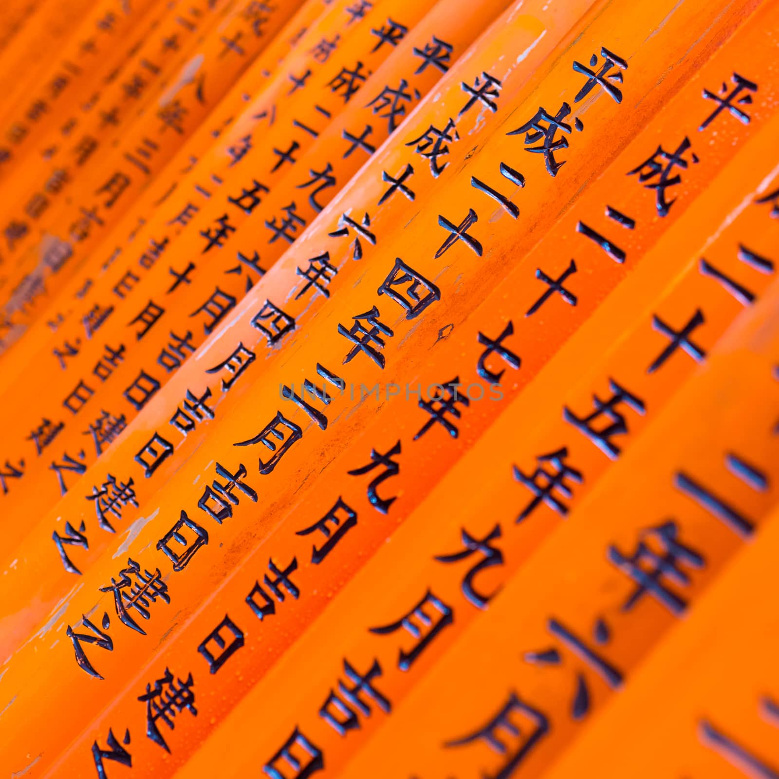 Fushimi Inari Taisha Shrine in Kyoto, Japan. by kasto