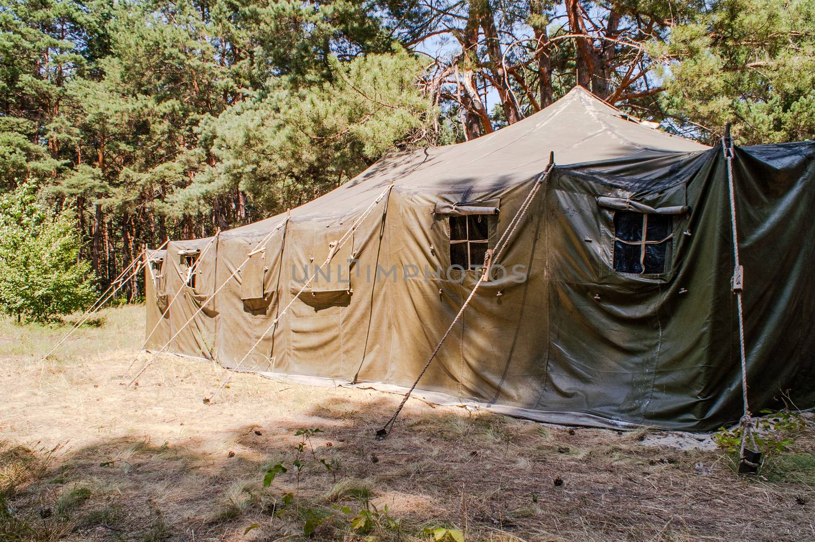 Green tent with tent camping, camping in the woods