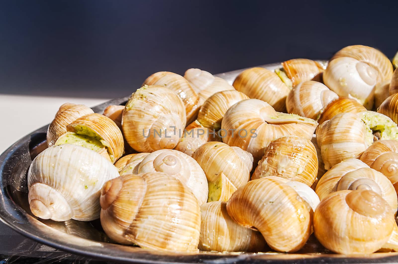 tasty and exotic dish from moreproduk issued in the stuffed snails