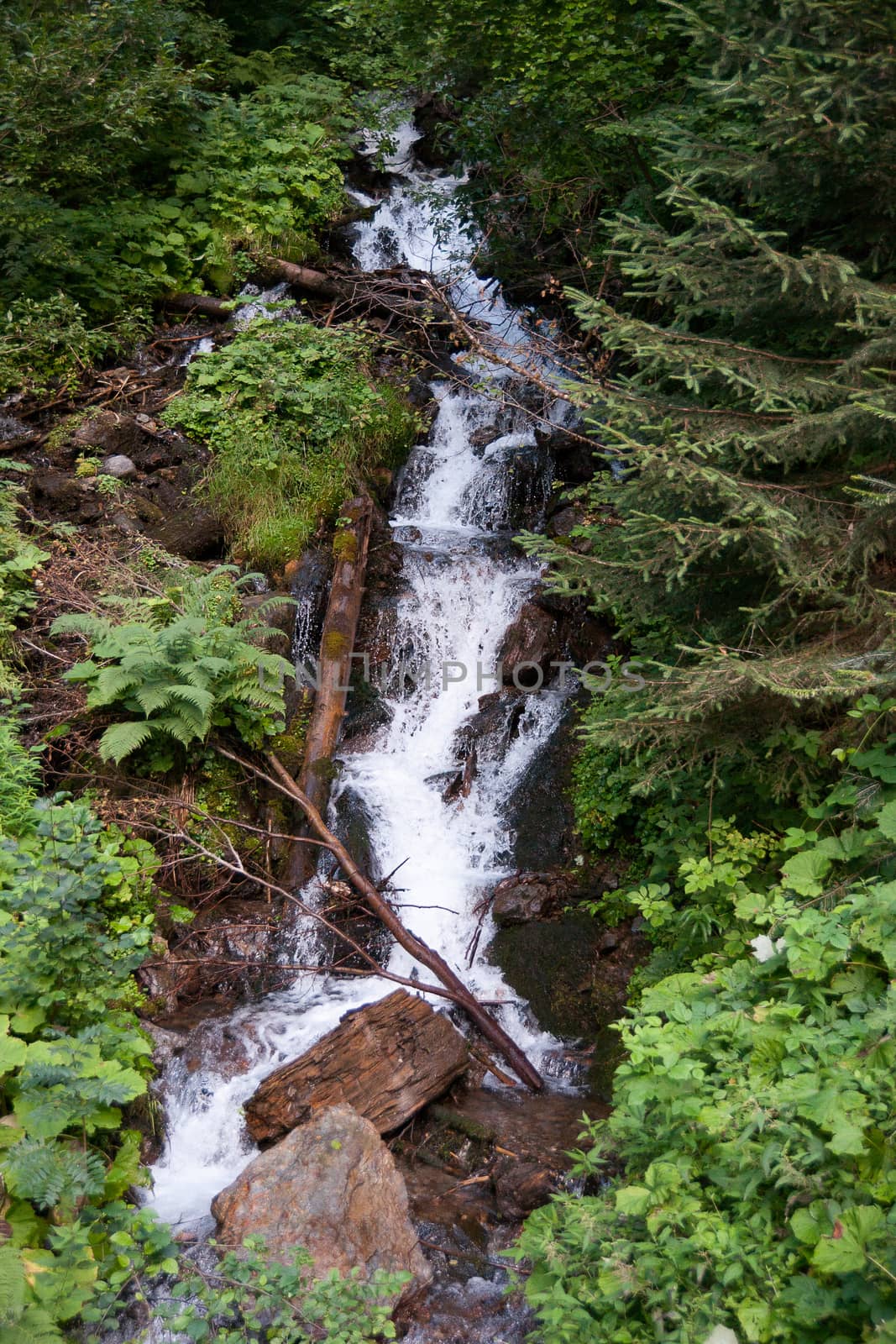 Waterfall in French alps  hiking attraction in a forest