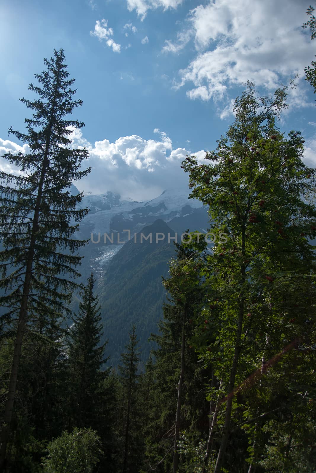 Travel in summer Alps during france nature tourism vacation