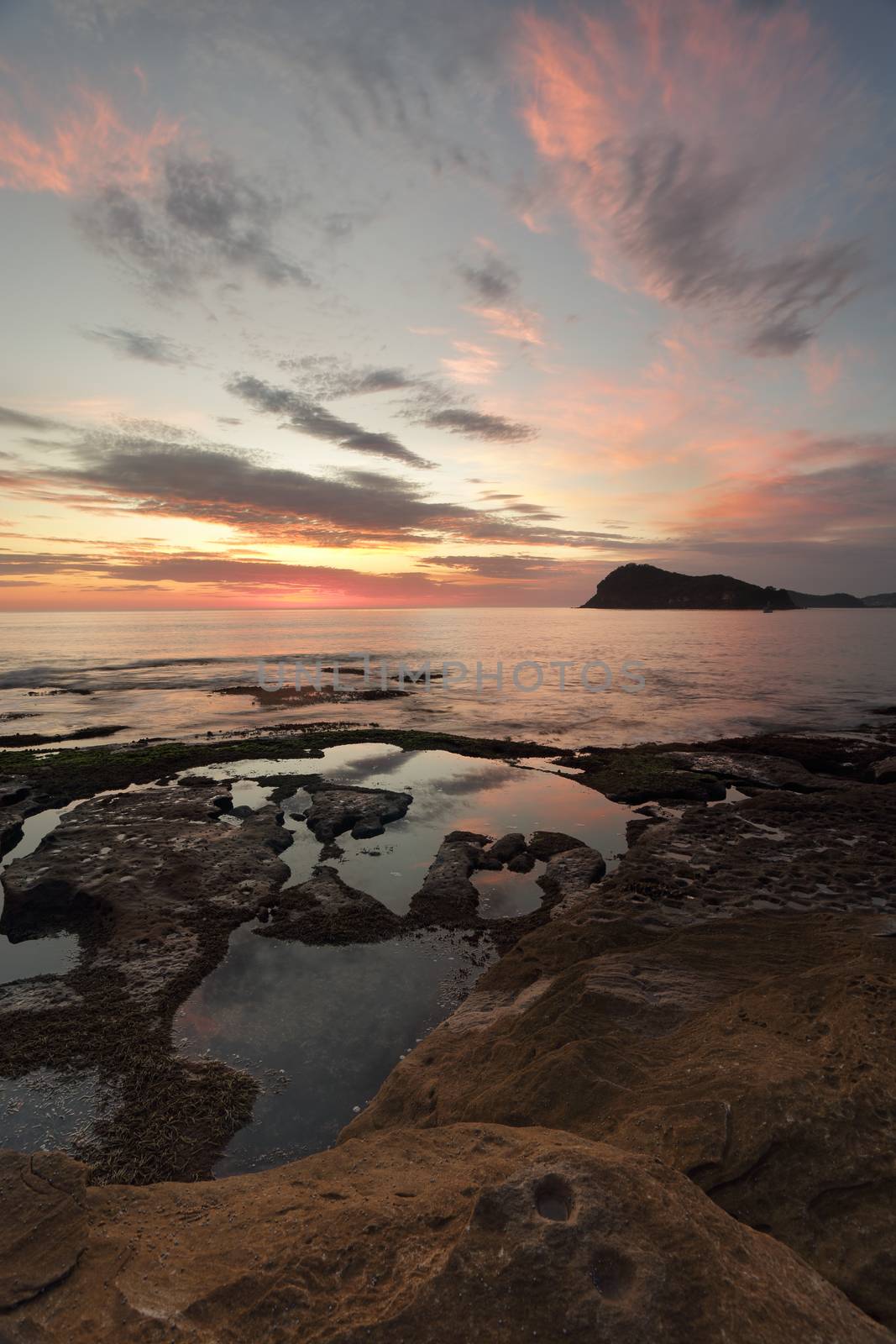 Portrait views to Lion Island from Green Point, Pearl Beach just before sunrise.
