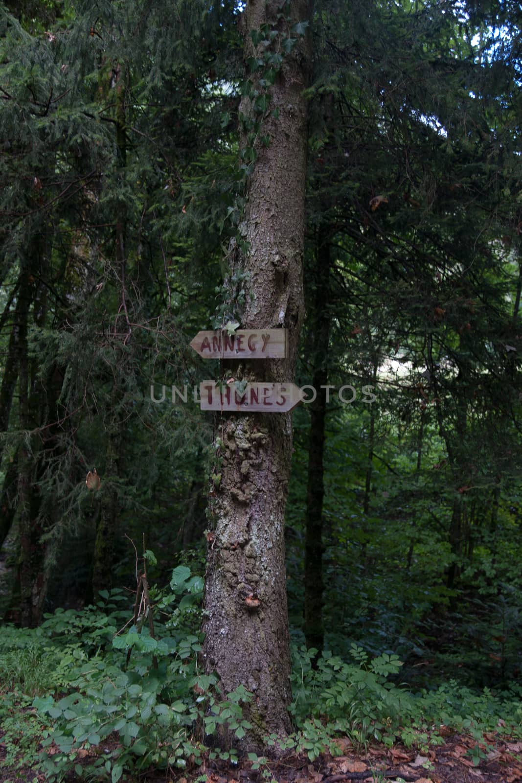 France Savoie forest walks by javax