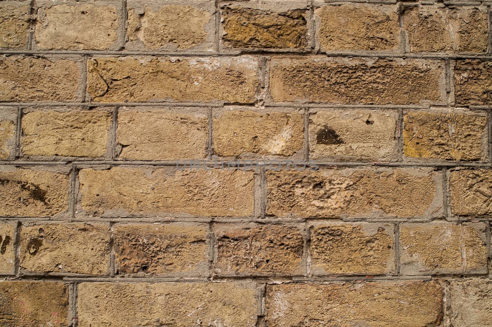 Laying brick wall by antonius_