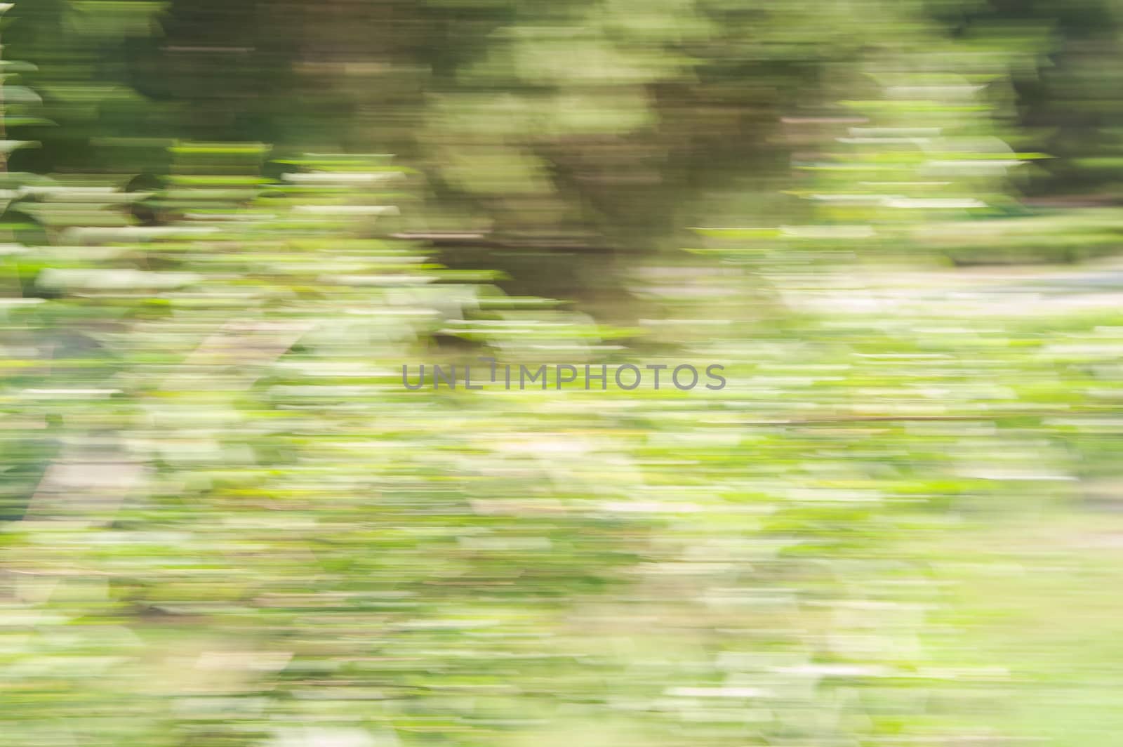 Abstract movement in the forest car on speed