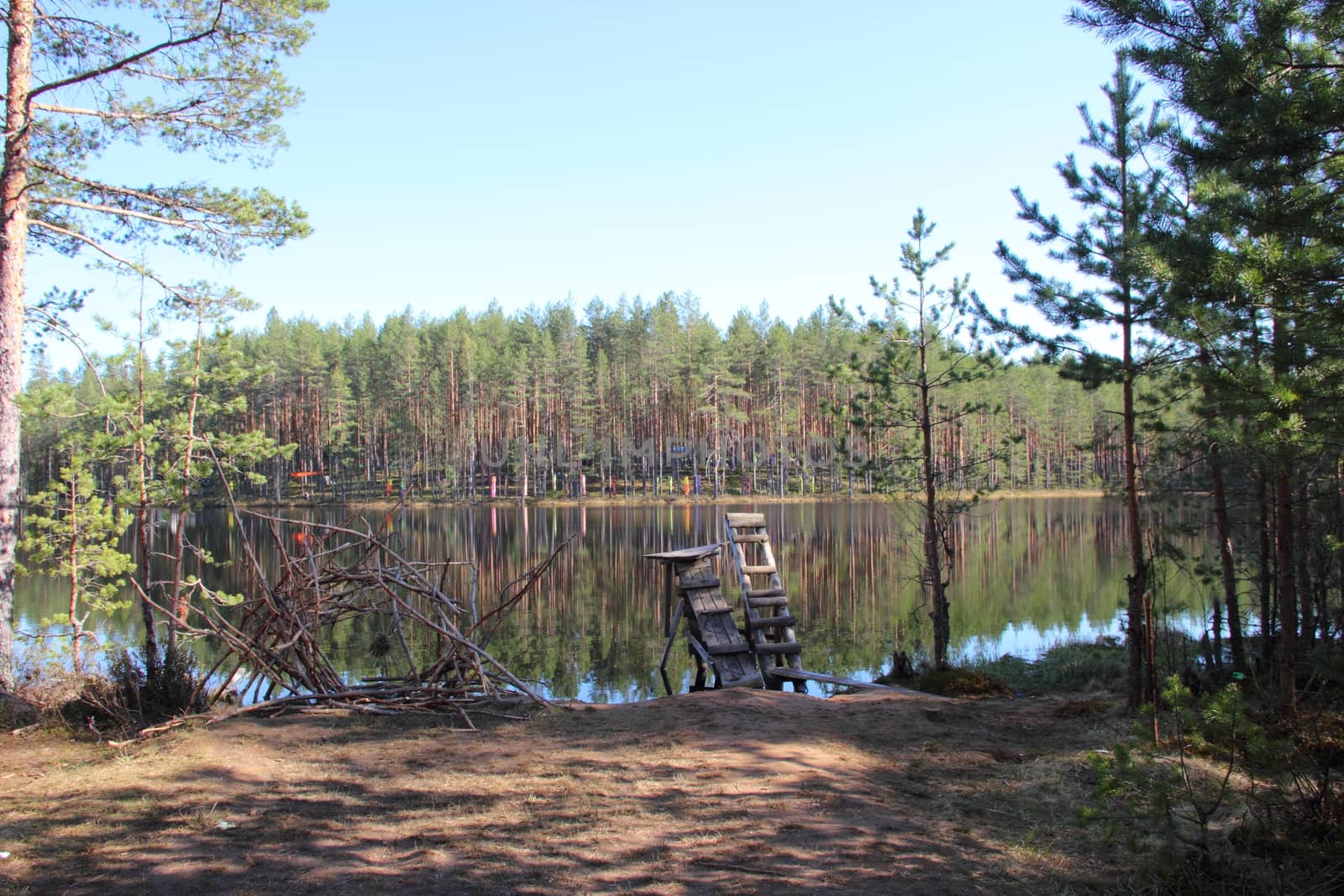 wooden installation in the spruce-pine forest near the lake