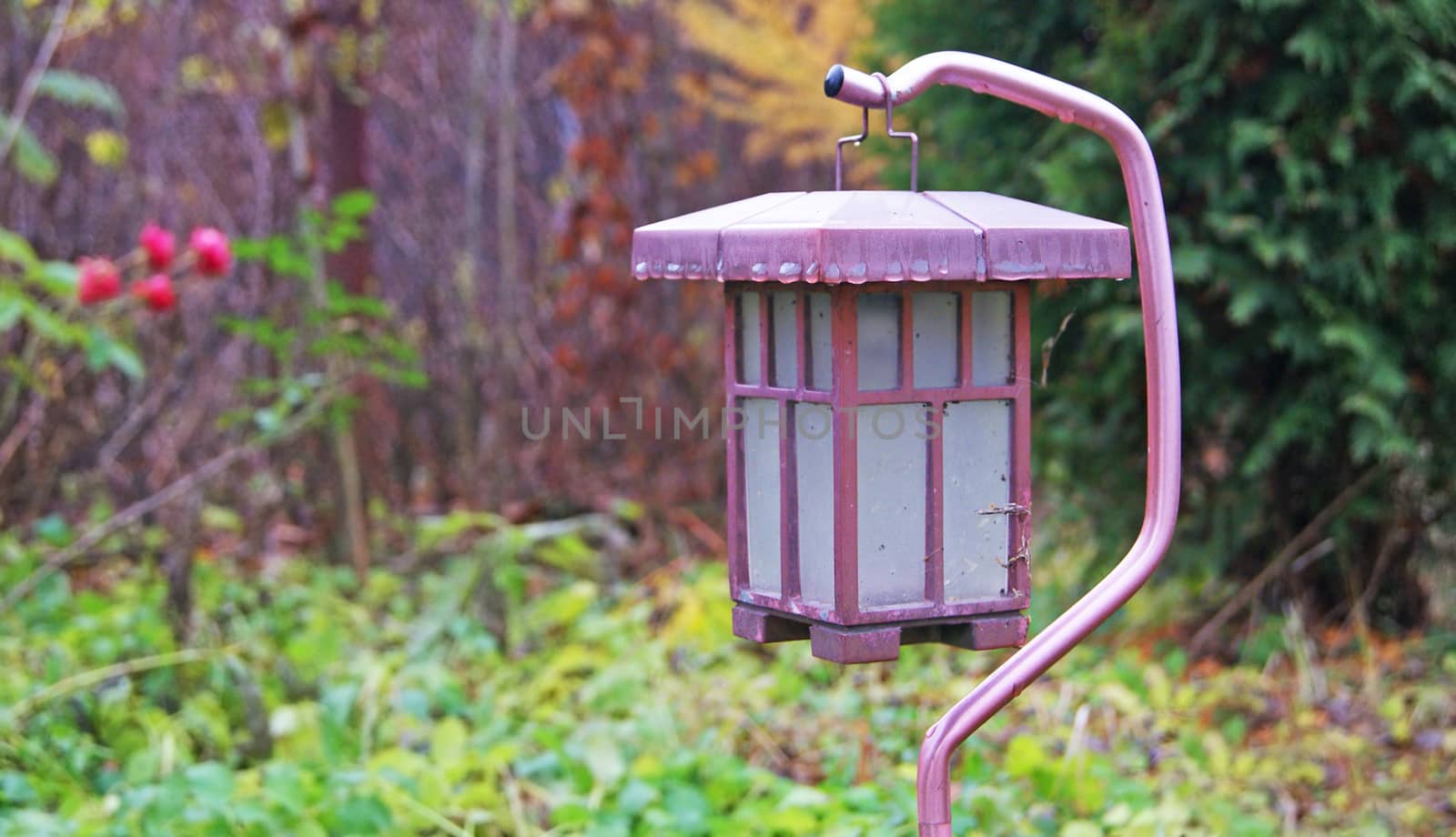 Solar Lantern in the Garden by 4dcrew