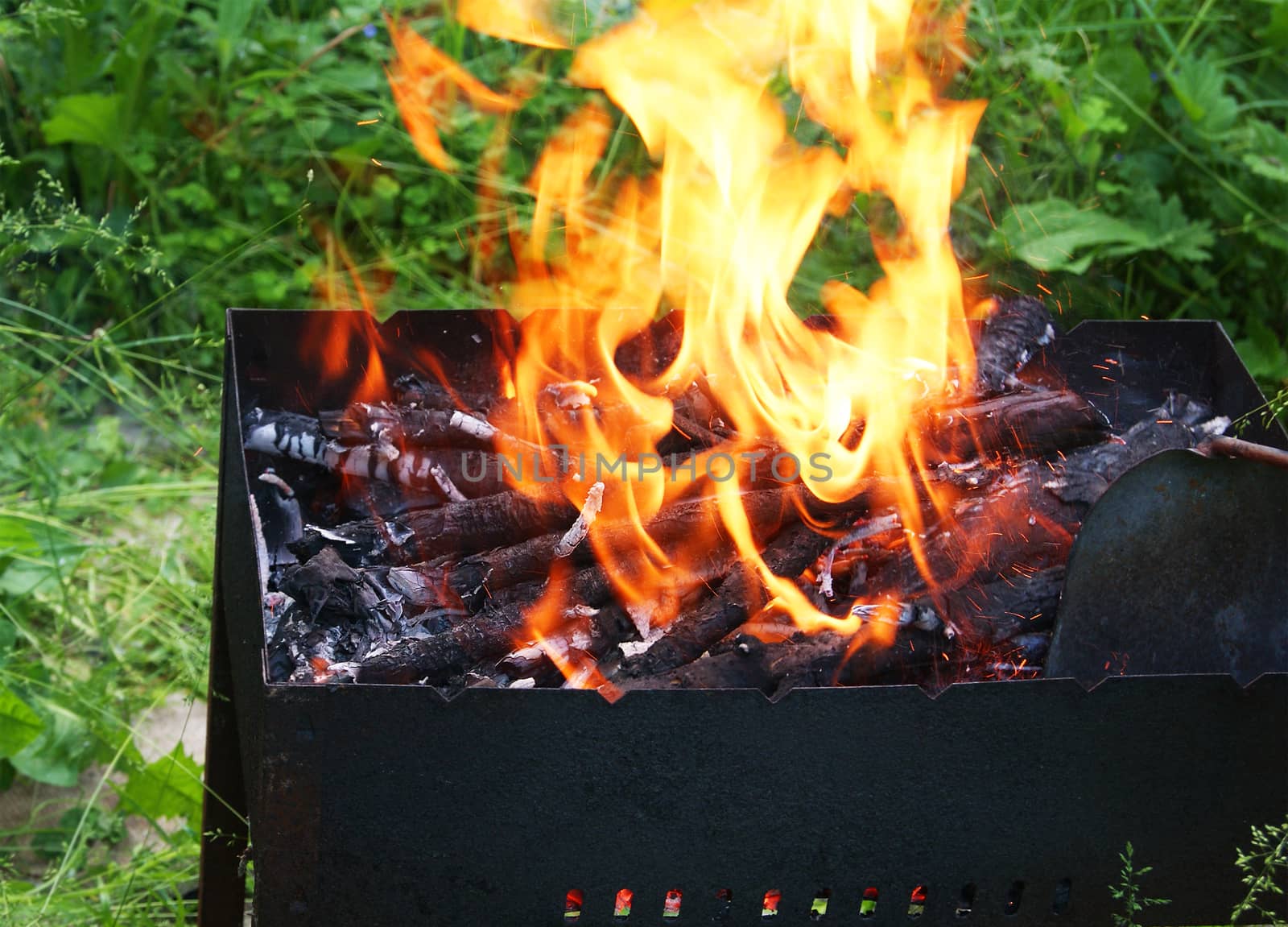 Fire in Barbecue, closeup  by 4dcrew