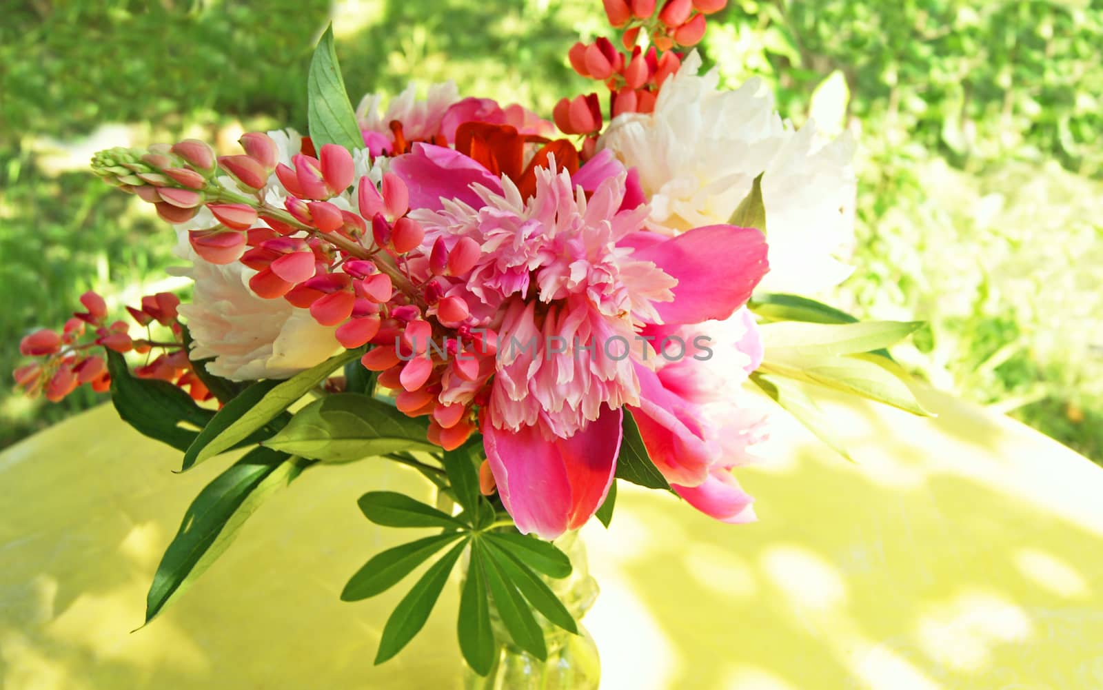 Bunch of pink peony flowers with lupine clusters on yellow table in the garden