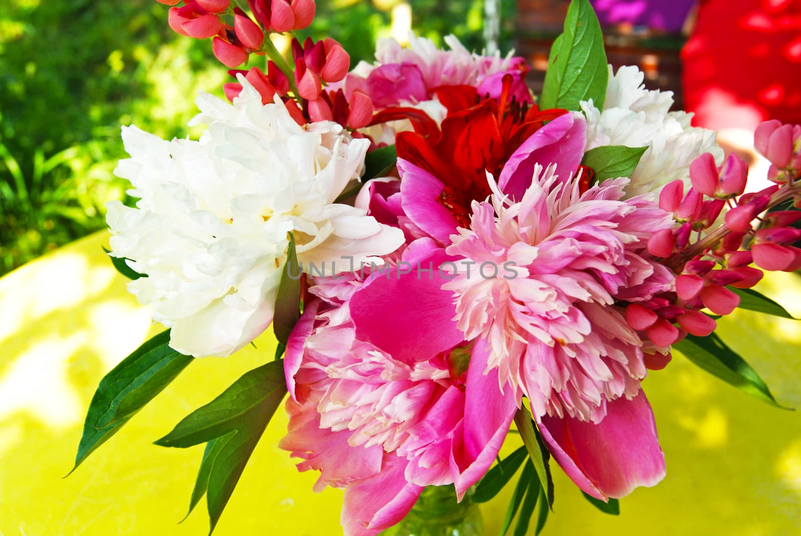 Bunch of various flowers on yellow table in the garden