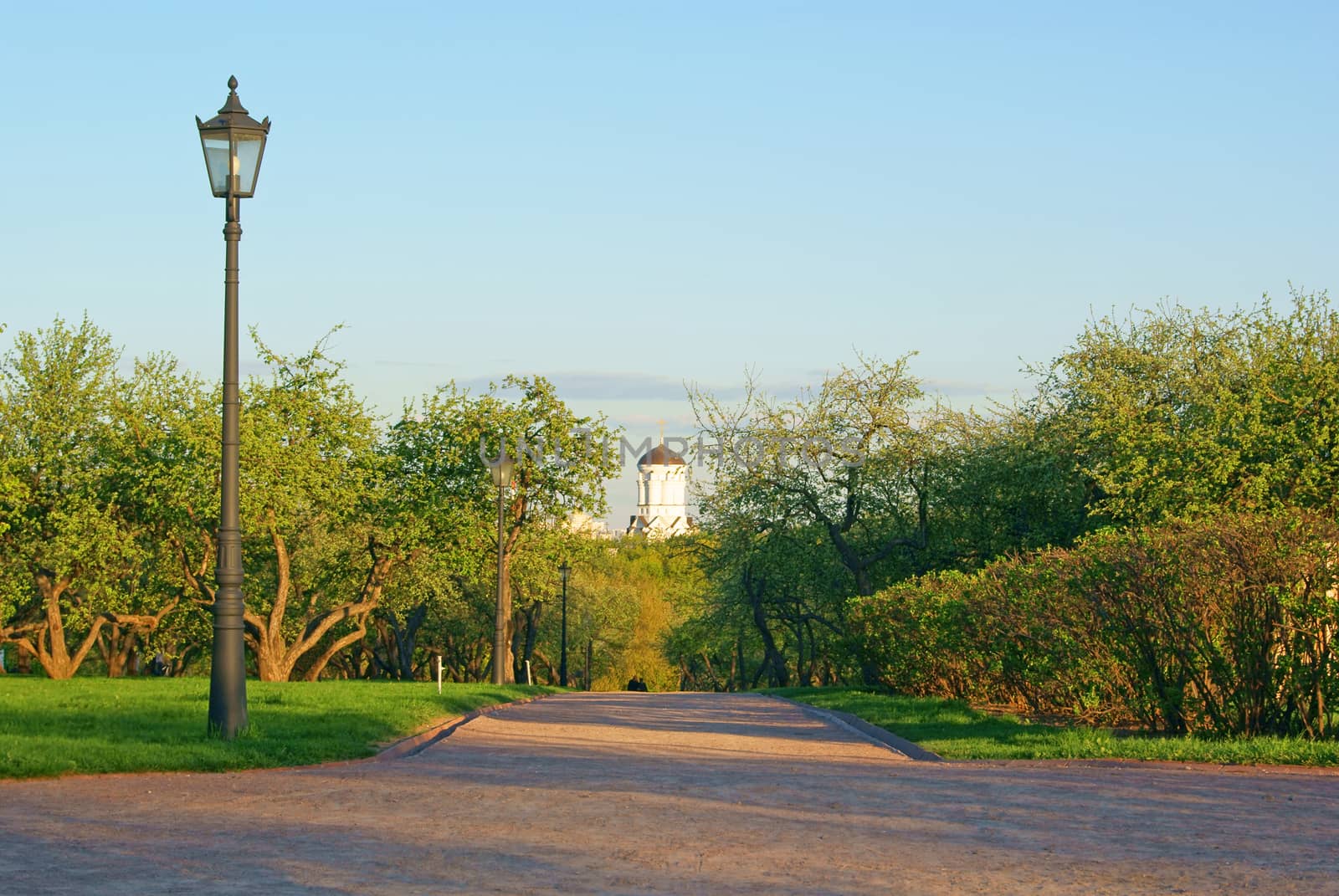 Road to Orthodox Church among apple trees at sunset