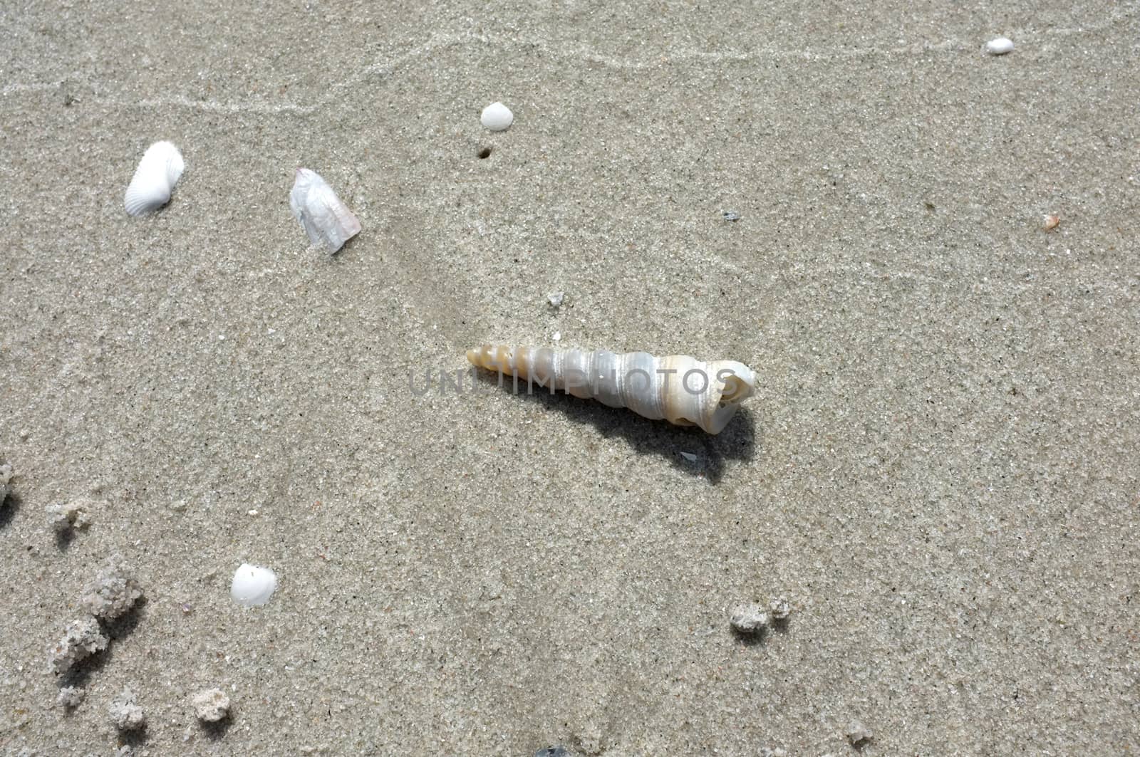 Texture of beach sand