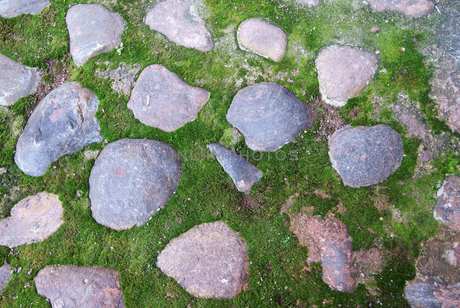 Cobblestone in Moss Background by 4dcrew