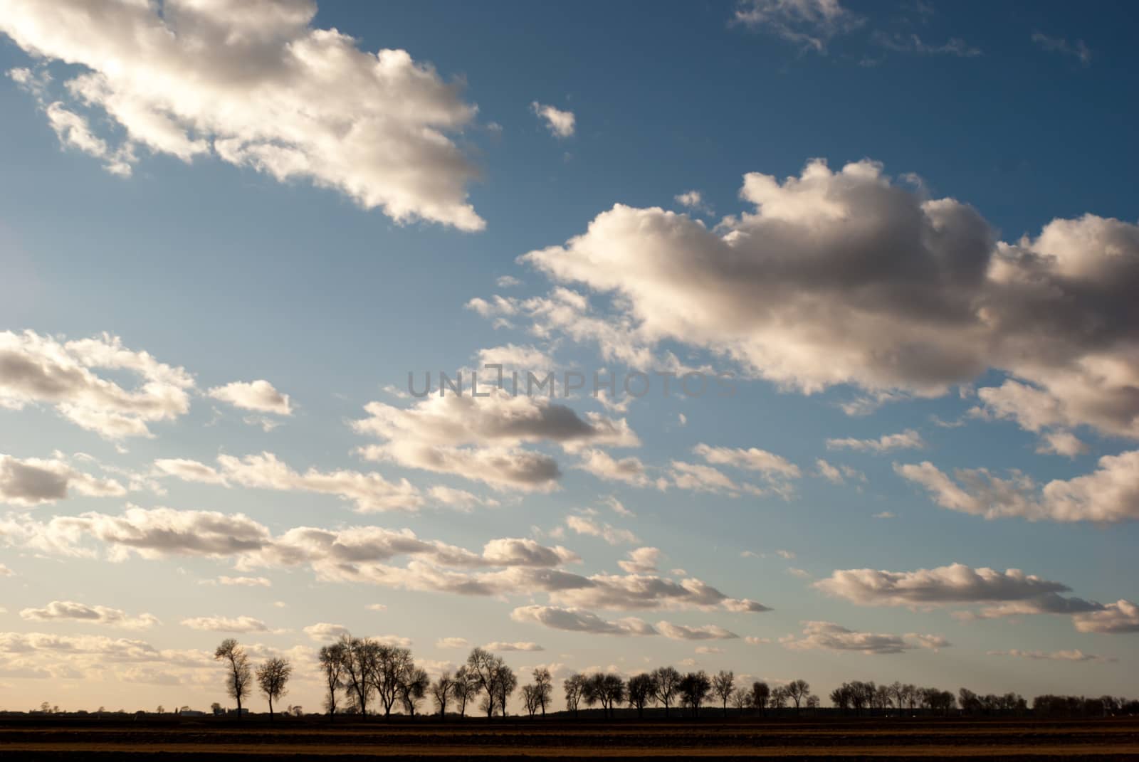 agricultural field, nature and agriculture farming series
