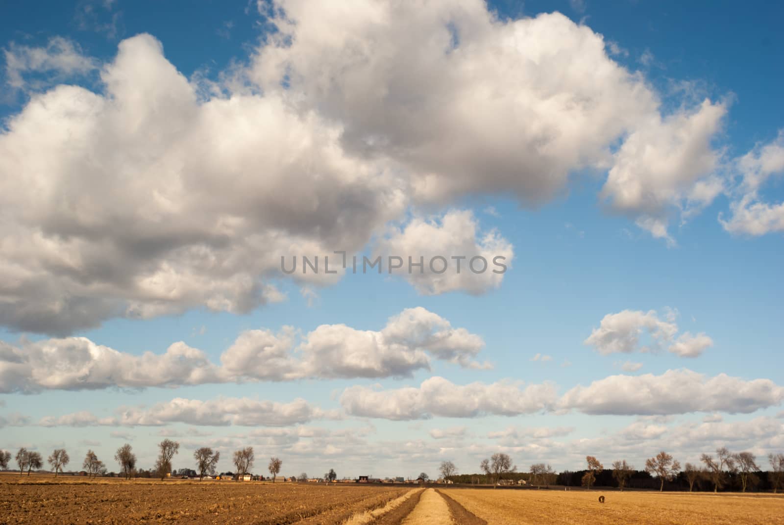 agricultural field, nature and agriculture farming series
