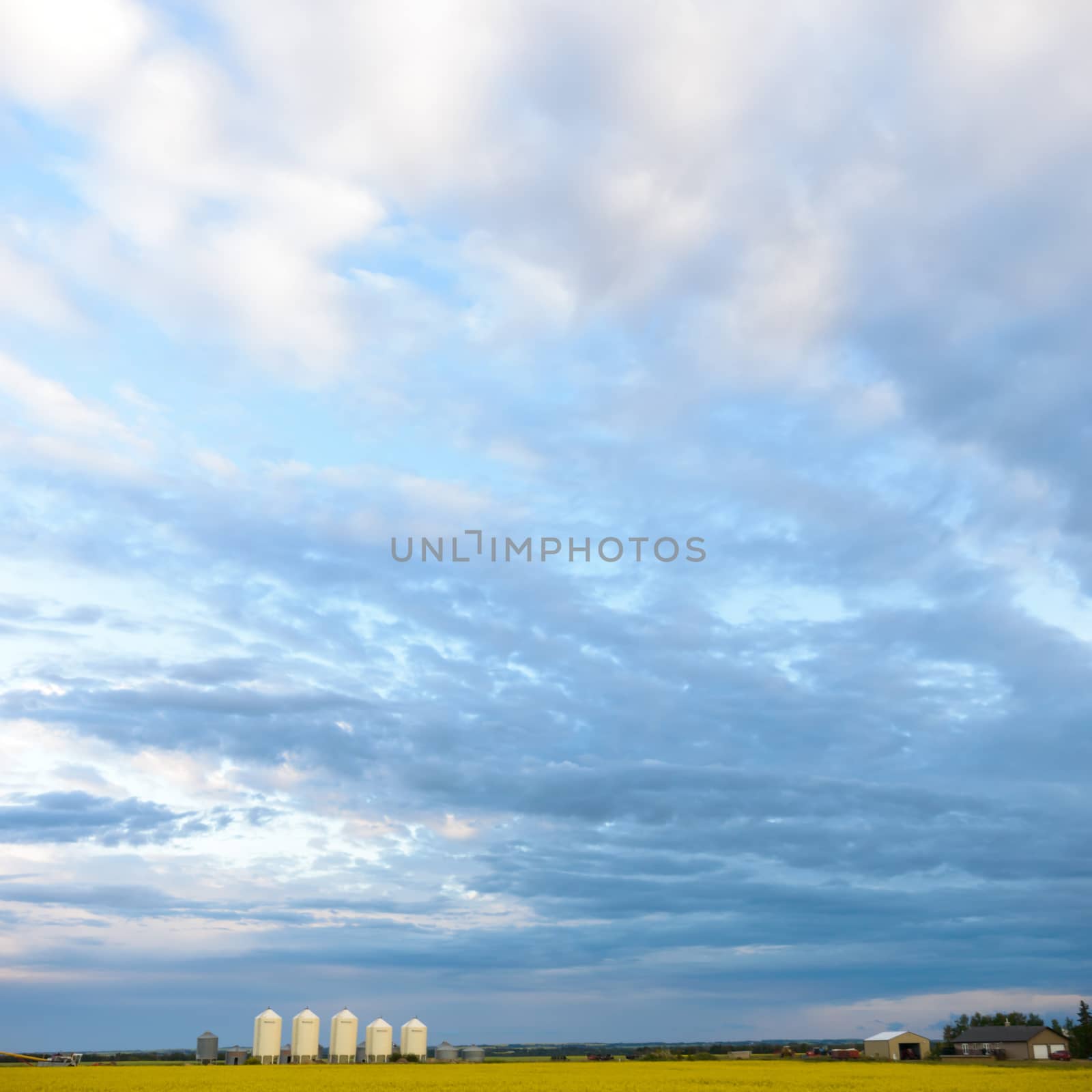 agricultural field, nature and agriculture farming series