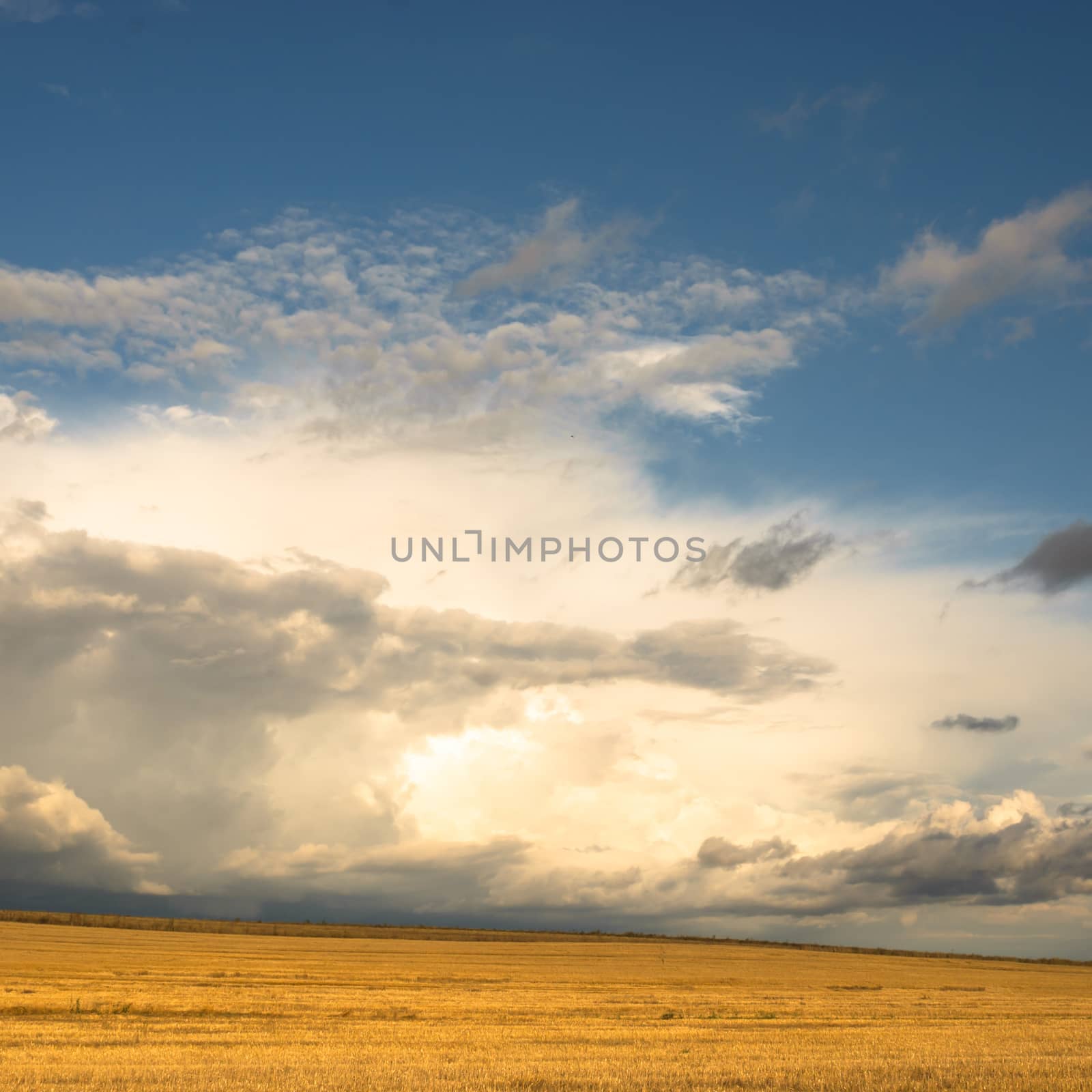 agricultural field, nature and agriculture farming series