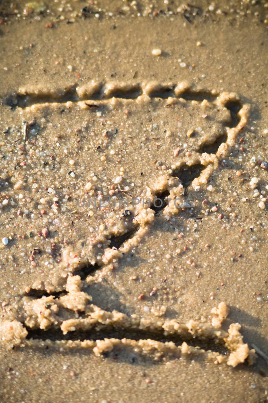 alphabet on natural background, more in this number series