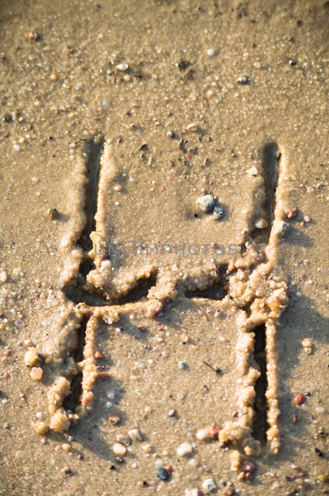 alphabet on natural background, more in this number series