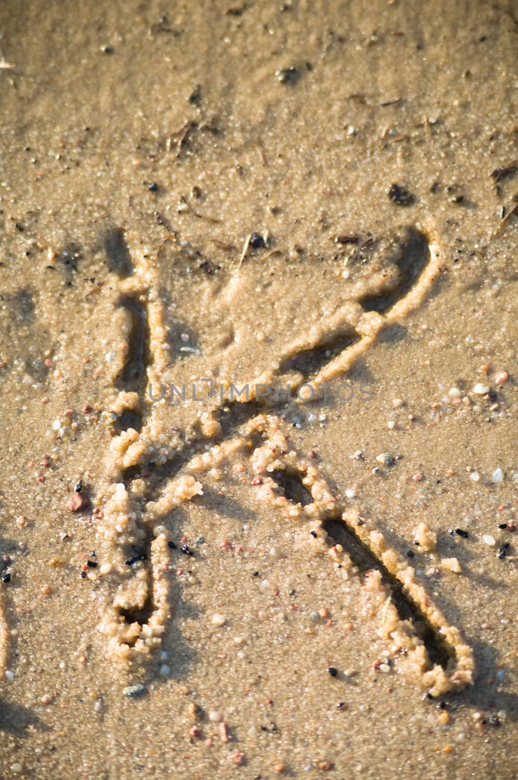 alphabet on natural background, more in this number series