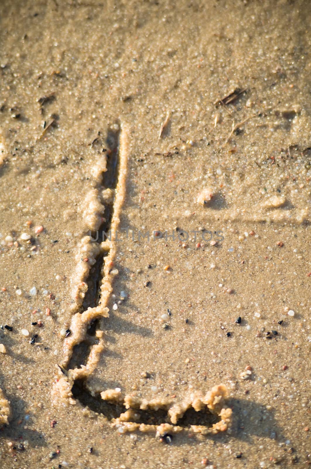 alphabet on natural background, more in this number series