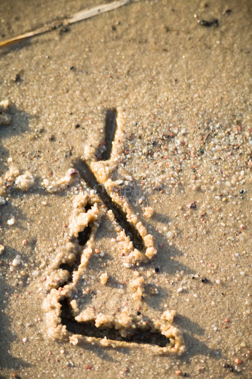alphabet on natural background, more in this number series