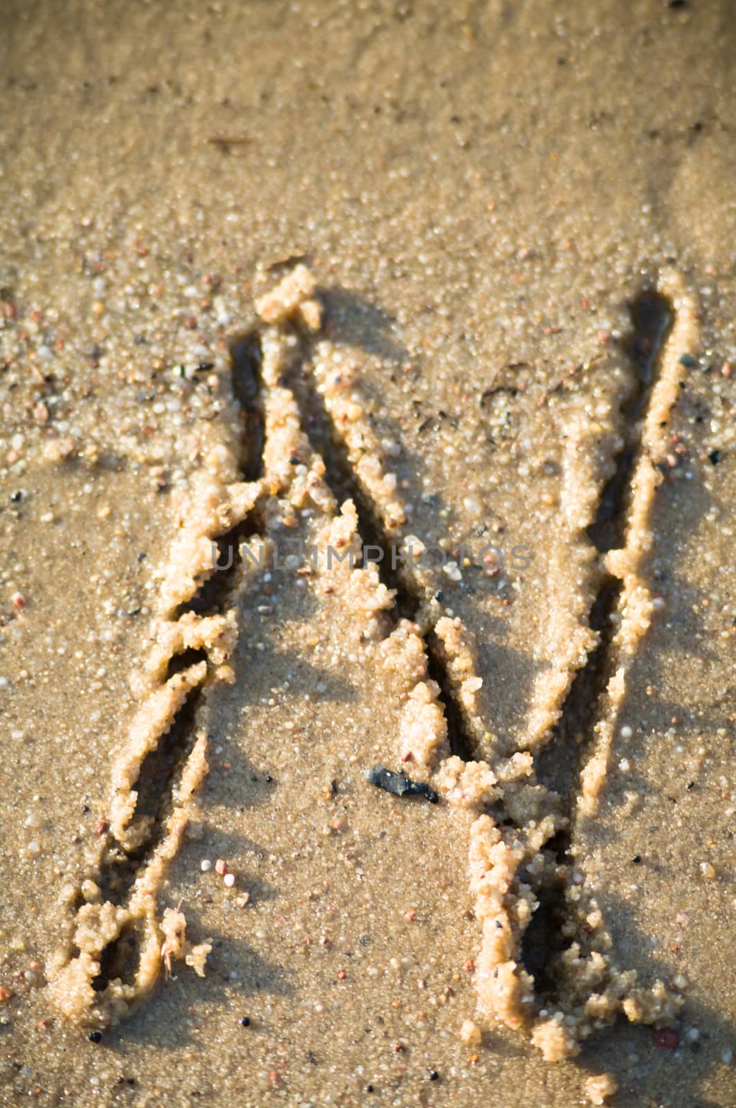 alphabet on natural background, more in this number series