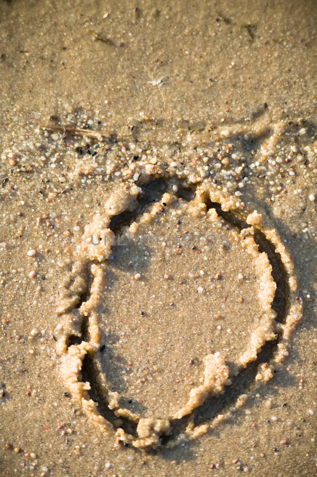 alphabet on natural background, more in this number series