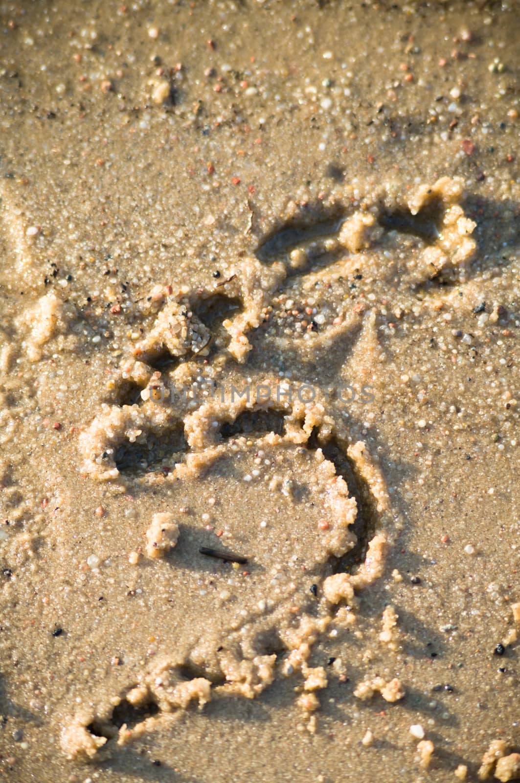 alphabet on natural background, more in this number series