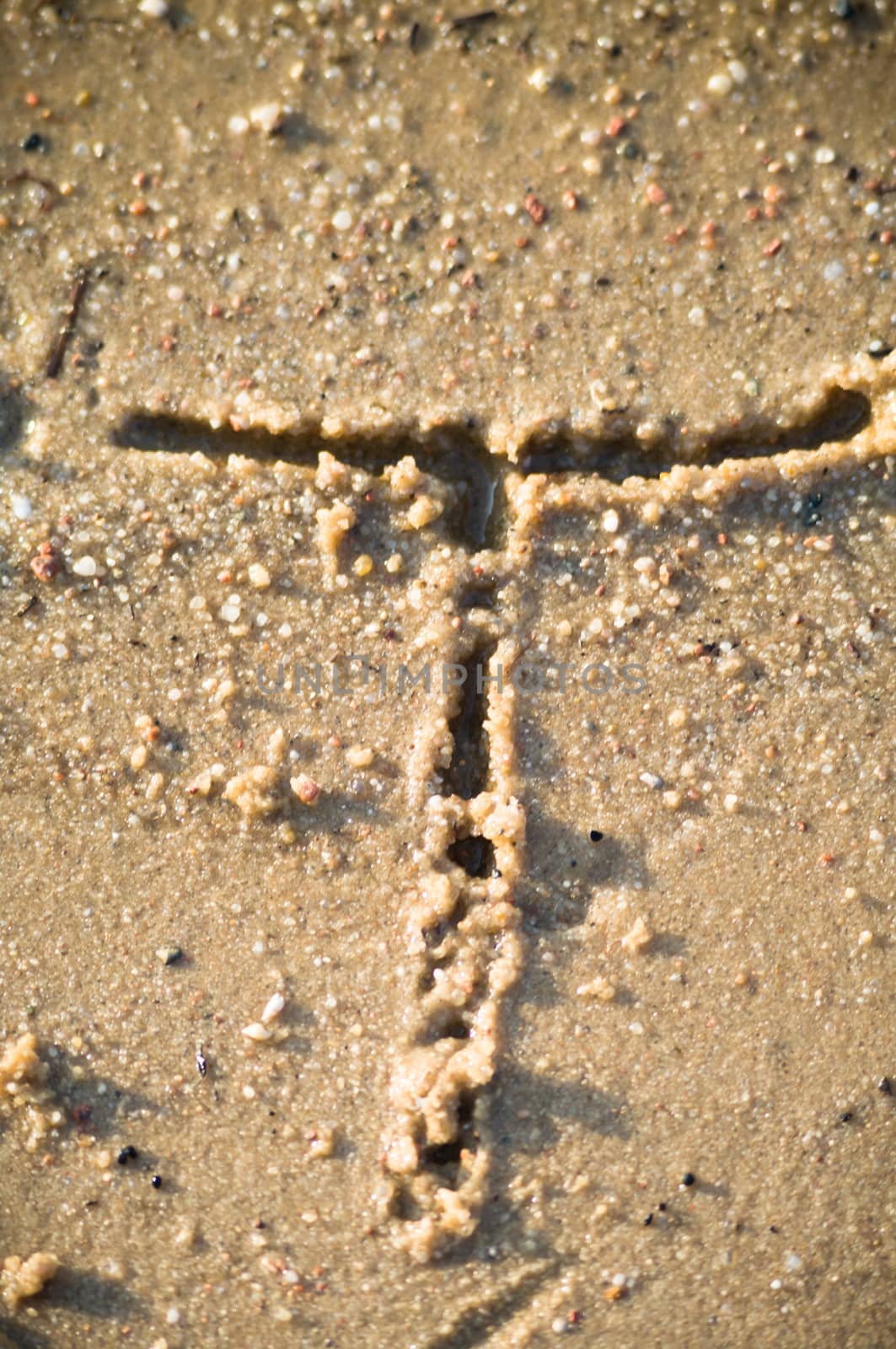 alphabet on natural background, more in this number series