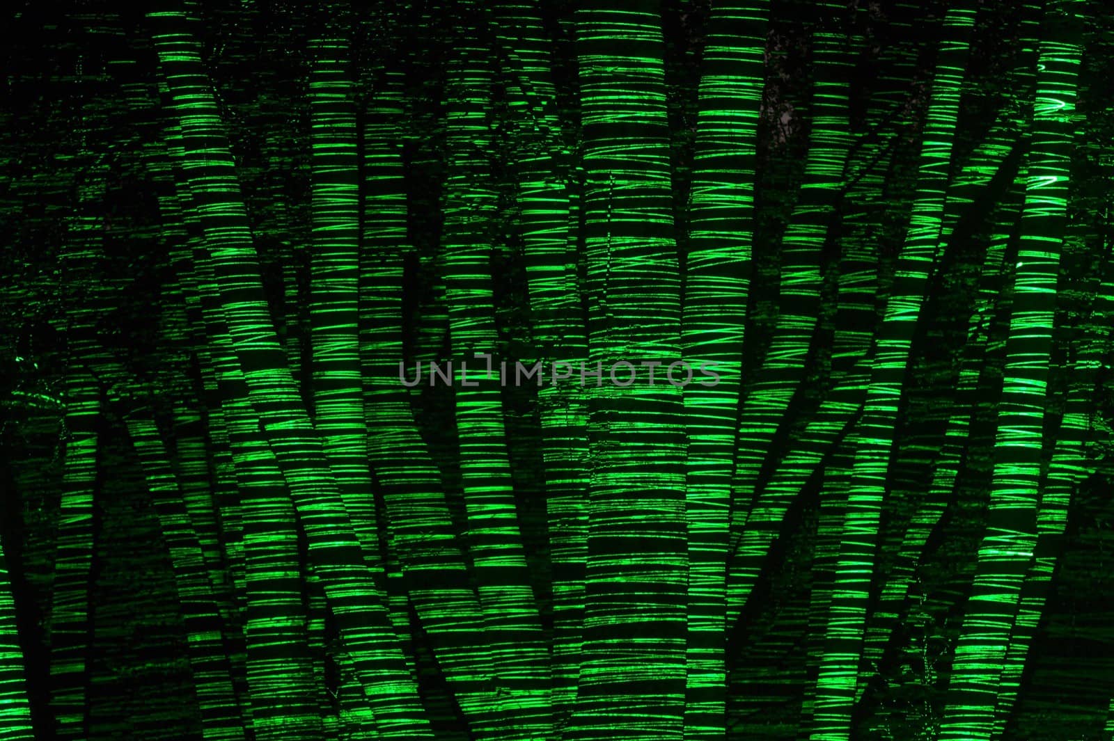 A group of trees are remarkably seen at night thanks to a green laser and a long exposure photography. The tracing of the laser was horizontal and thus the contours of the trees were clearly visible. In fact, we don't see their logs, but their profiles.