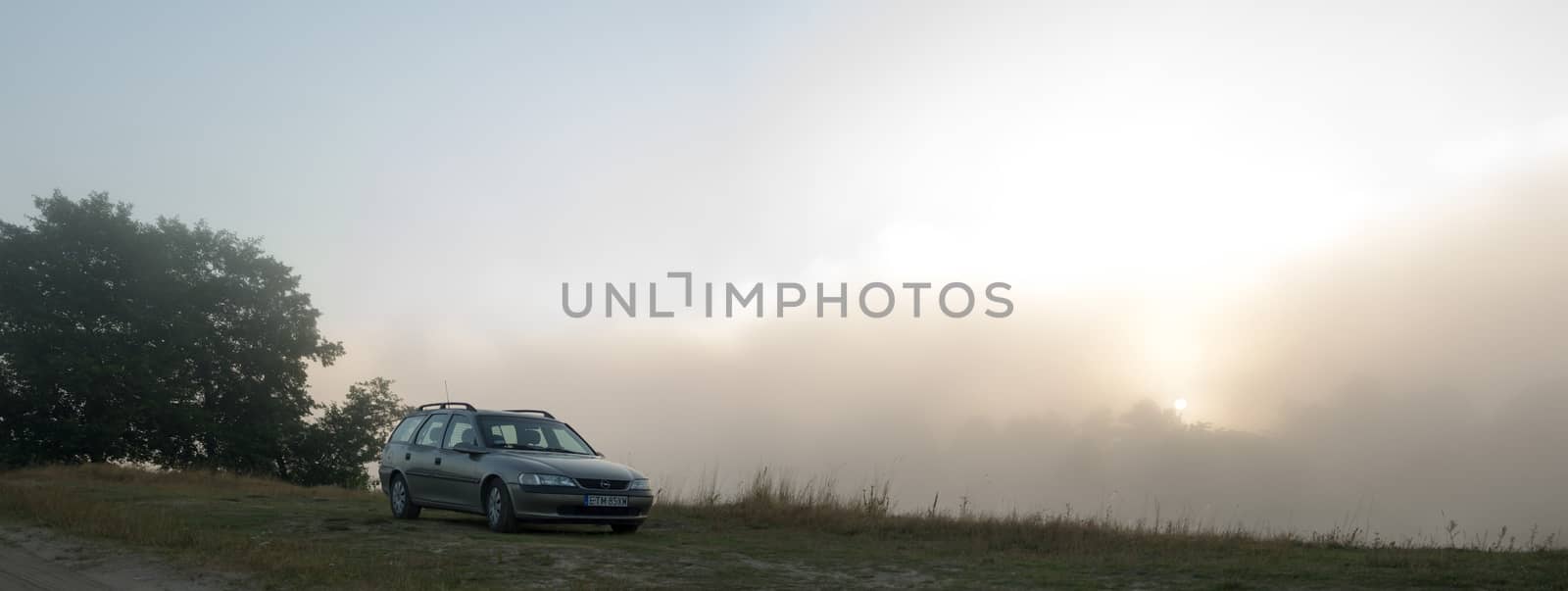 silver car between yellow and green plants