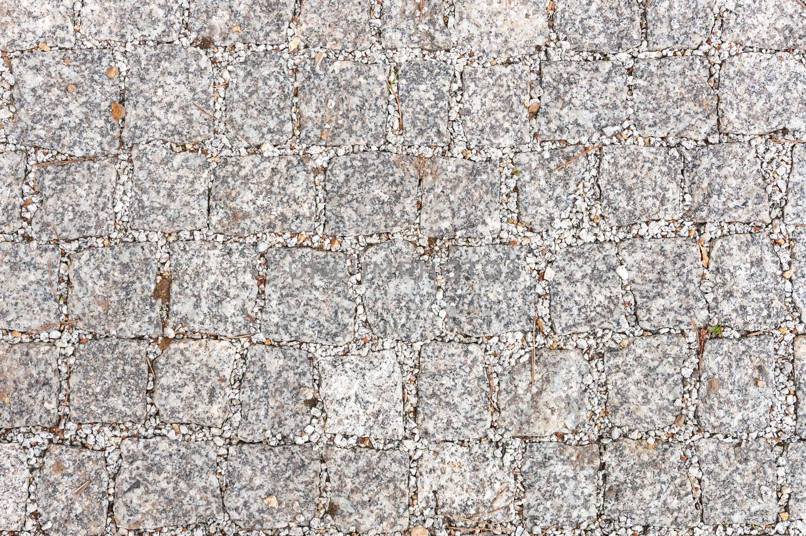 Gray sett bricks, texture or background, pavement.