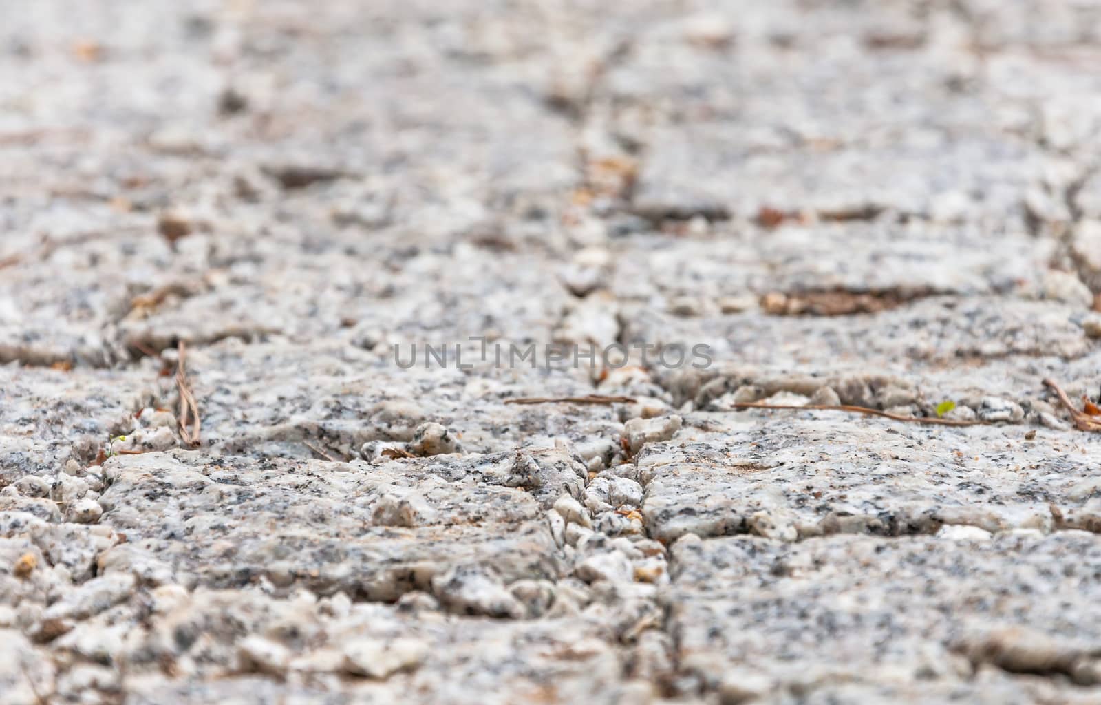 Gray sett bricks background. Sallow depth of field.