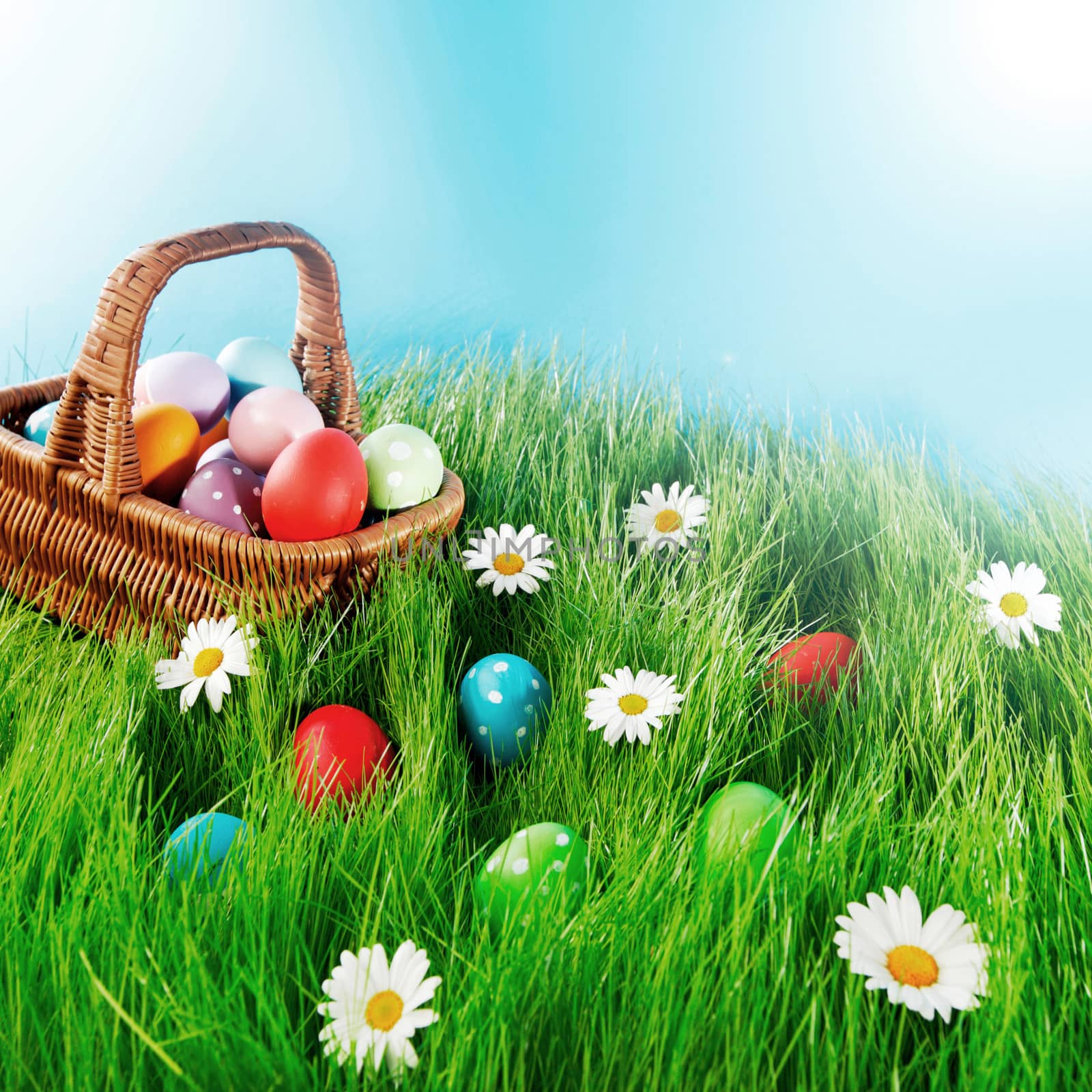 Easter basket with eggs on green meadow with flowers