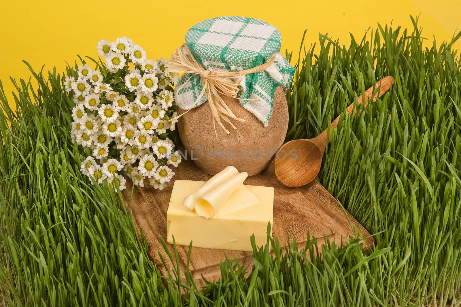 Butter, milk pot and camomiles on a green grass