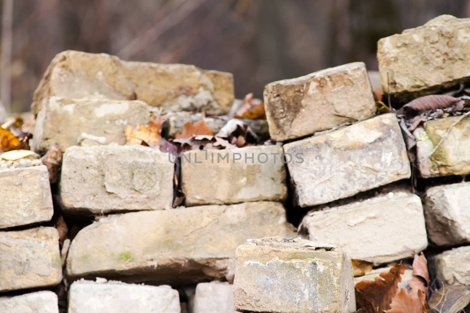 old bricks stacked in a pile in the middle of the forest in autu by antonius_