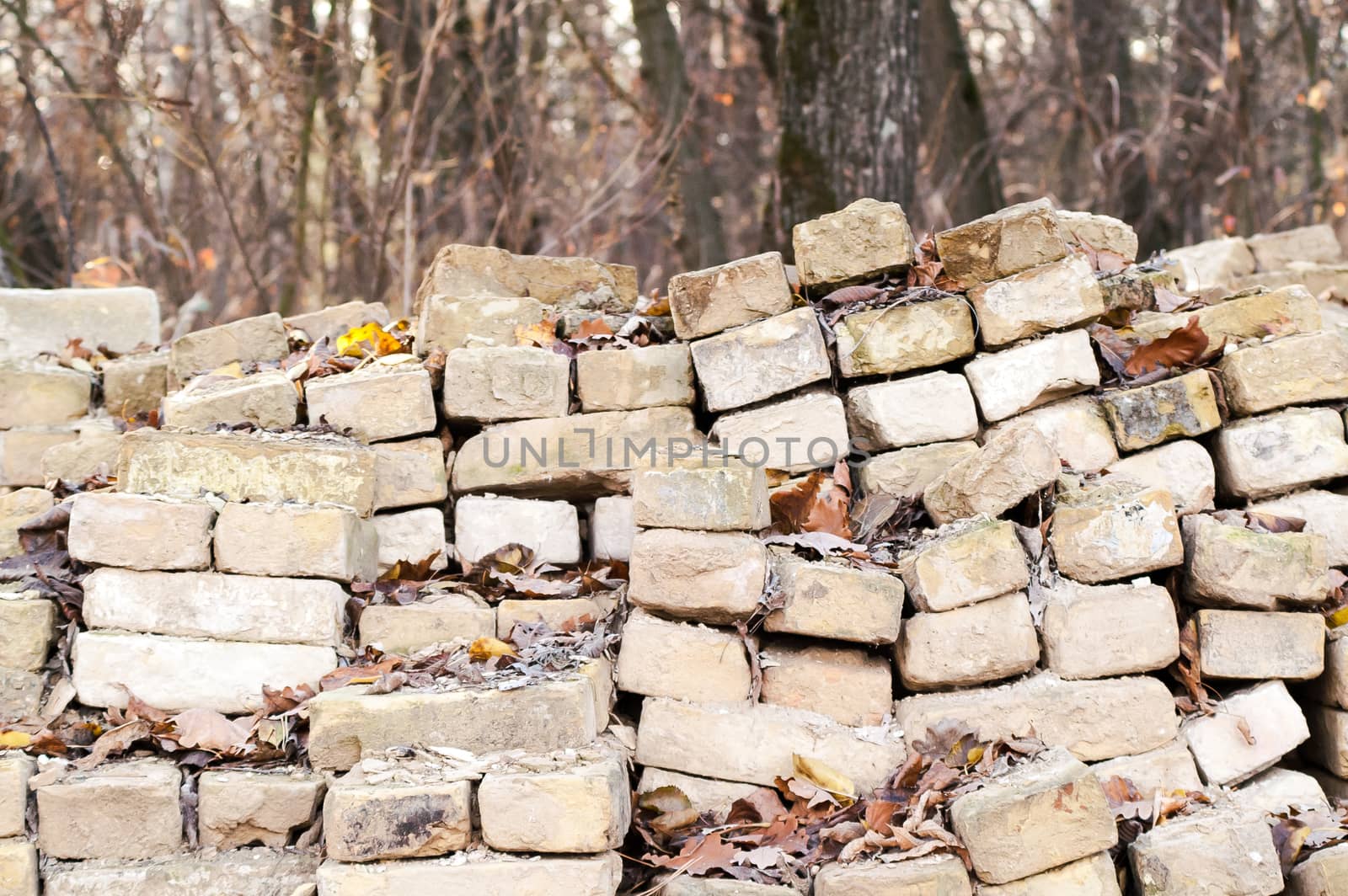 old bricks stacked in a pile in the middle of the forest in autu by antonius_