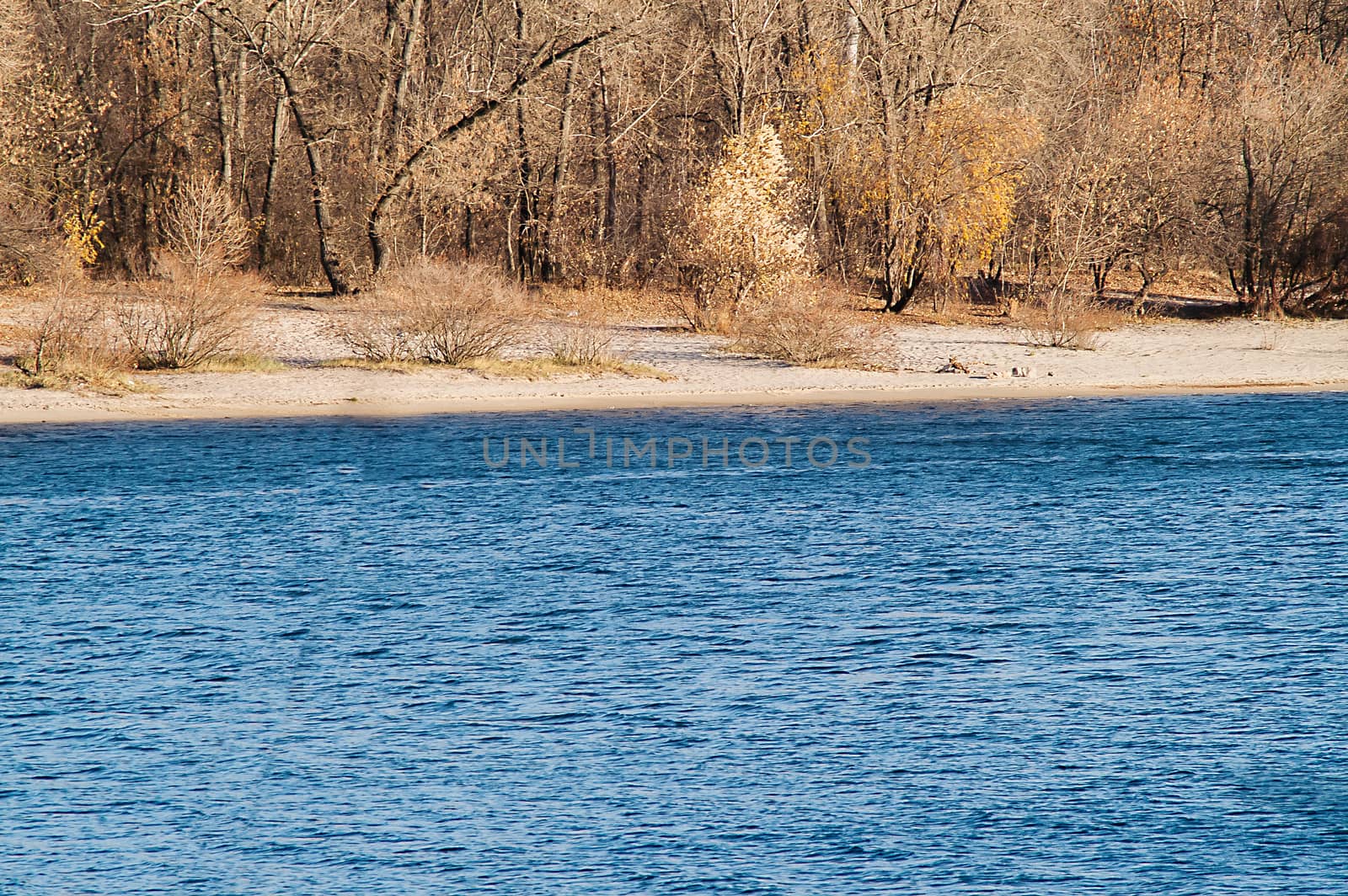 autumnal forest near the water by antonius_