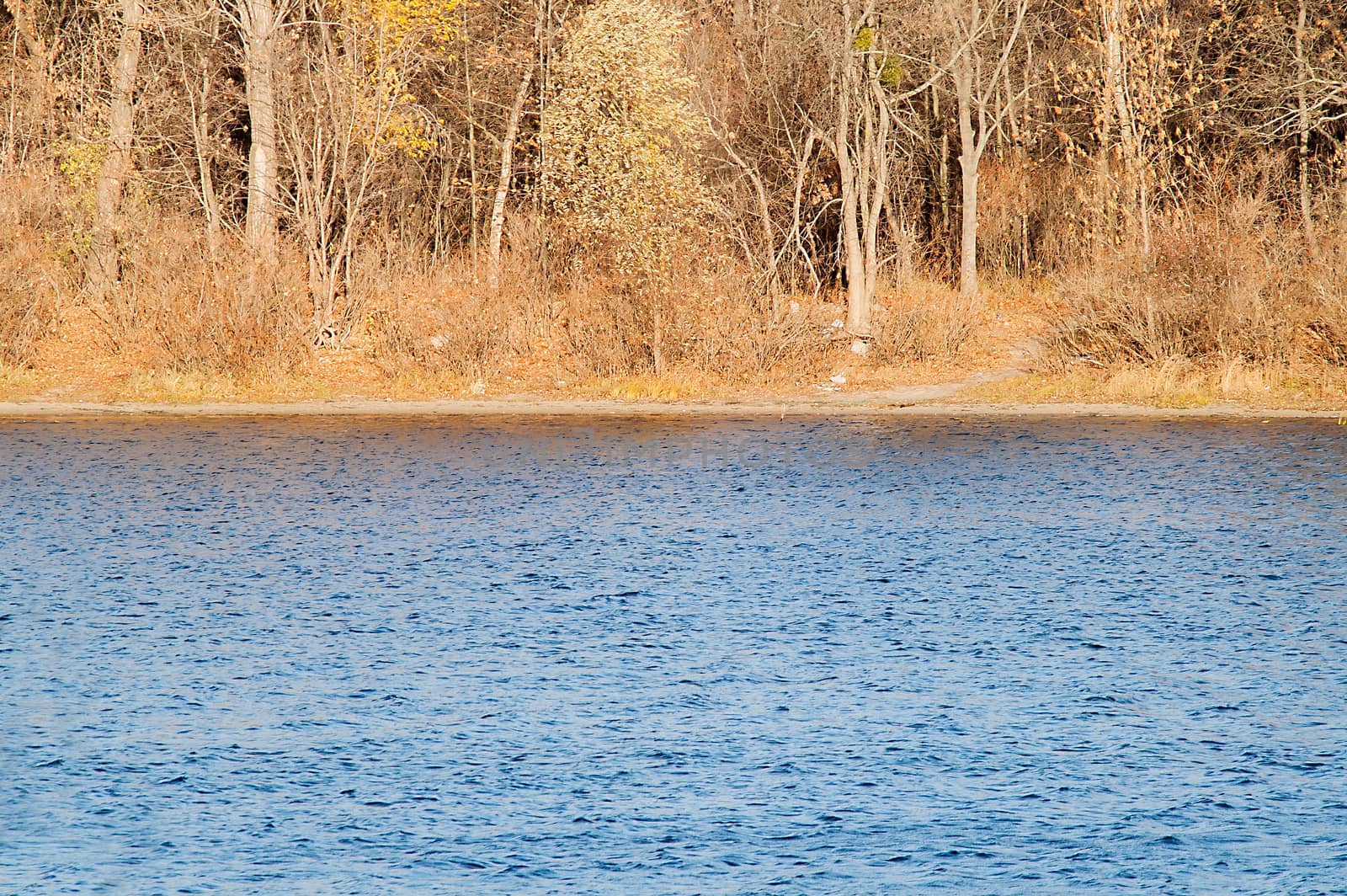 autumnal forest near the water at sunset and day