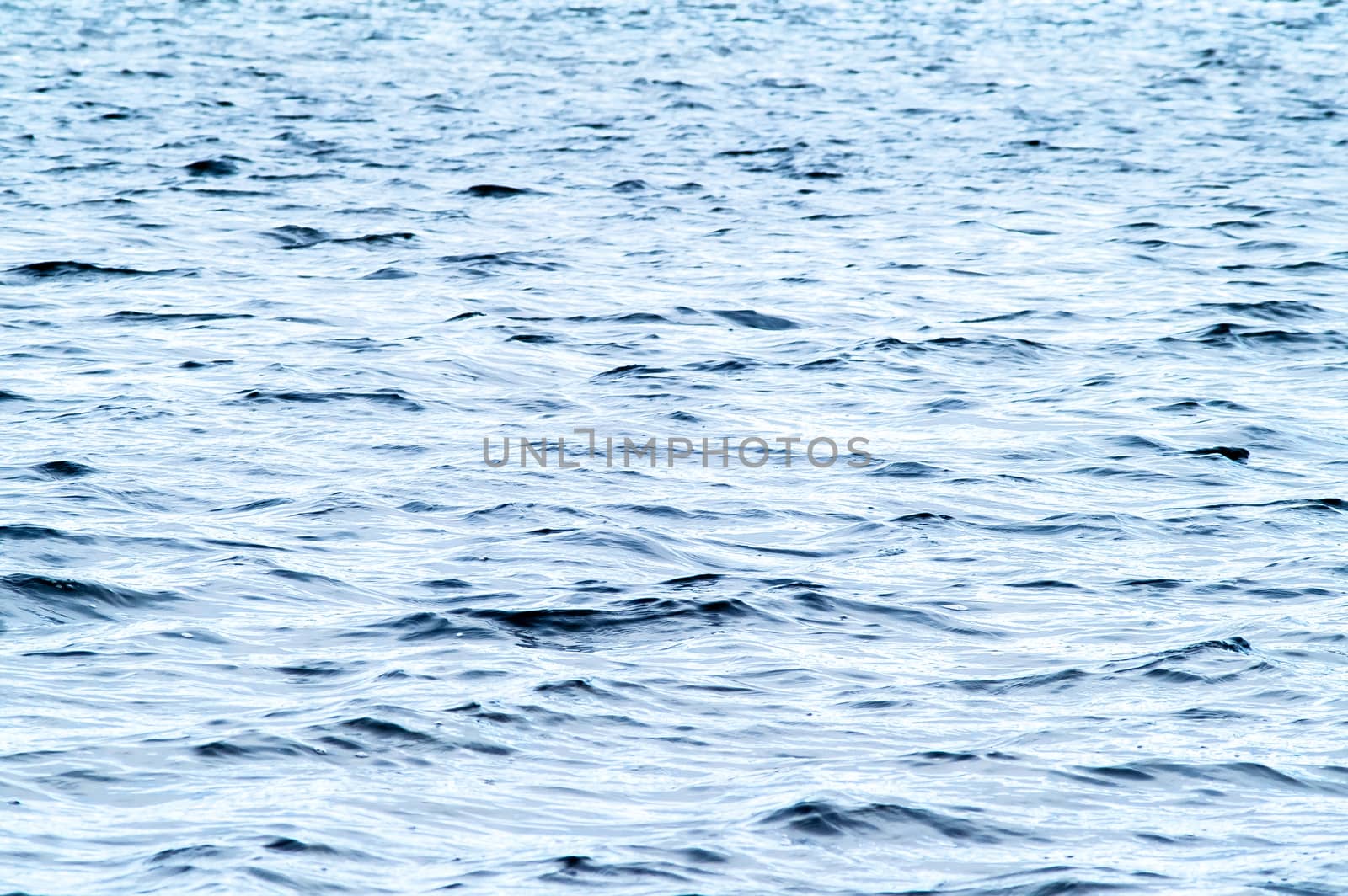 The water surface in the autumn on the river