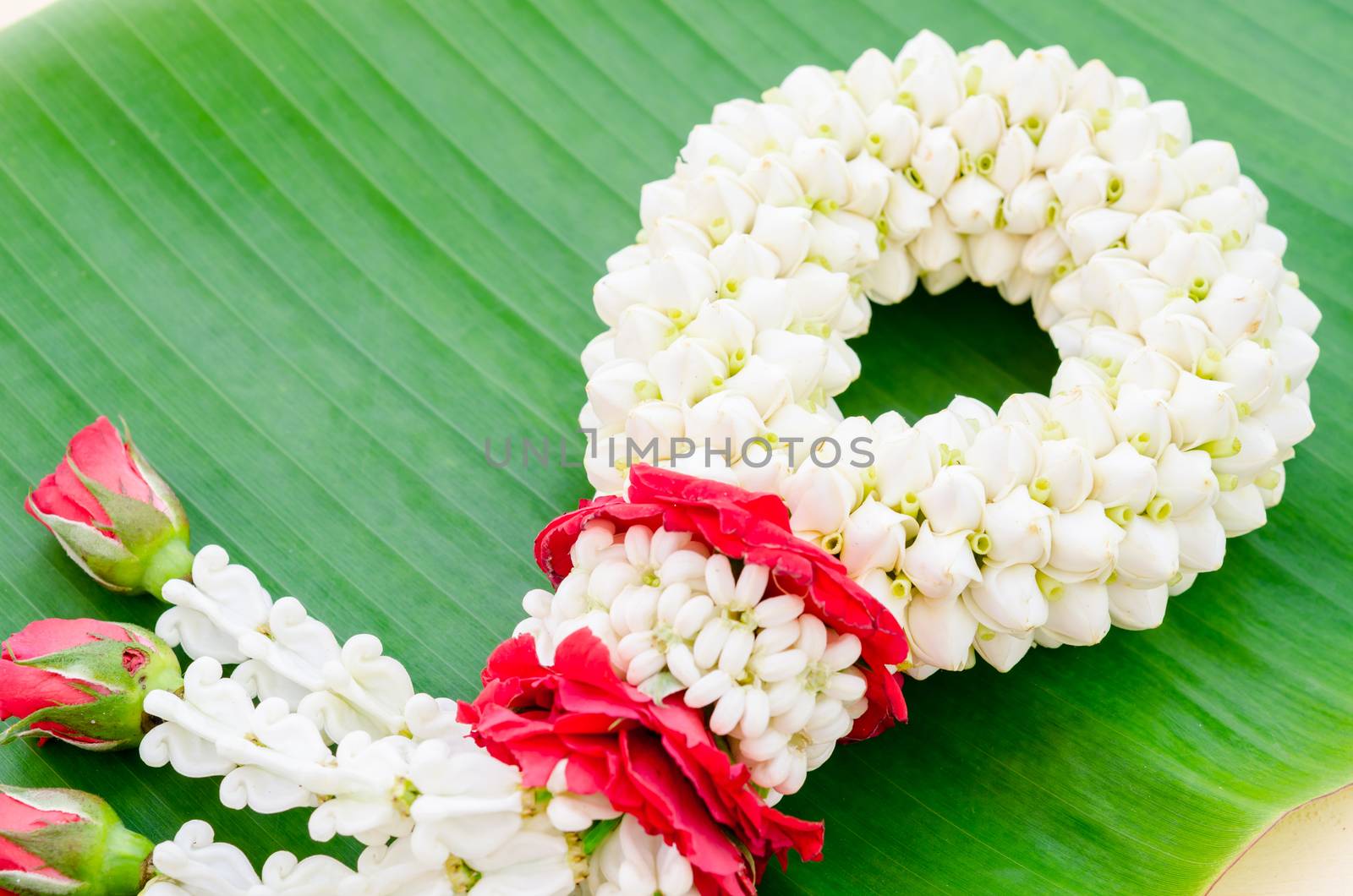 Jasmine garland of flowers on banana leaf background