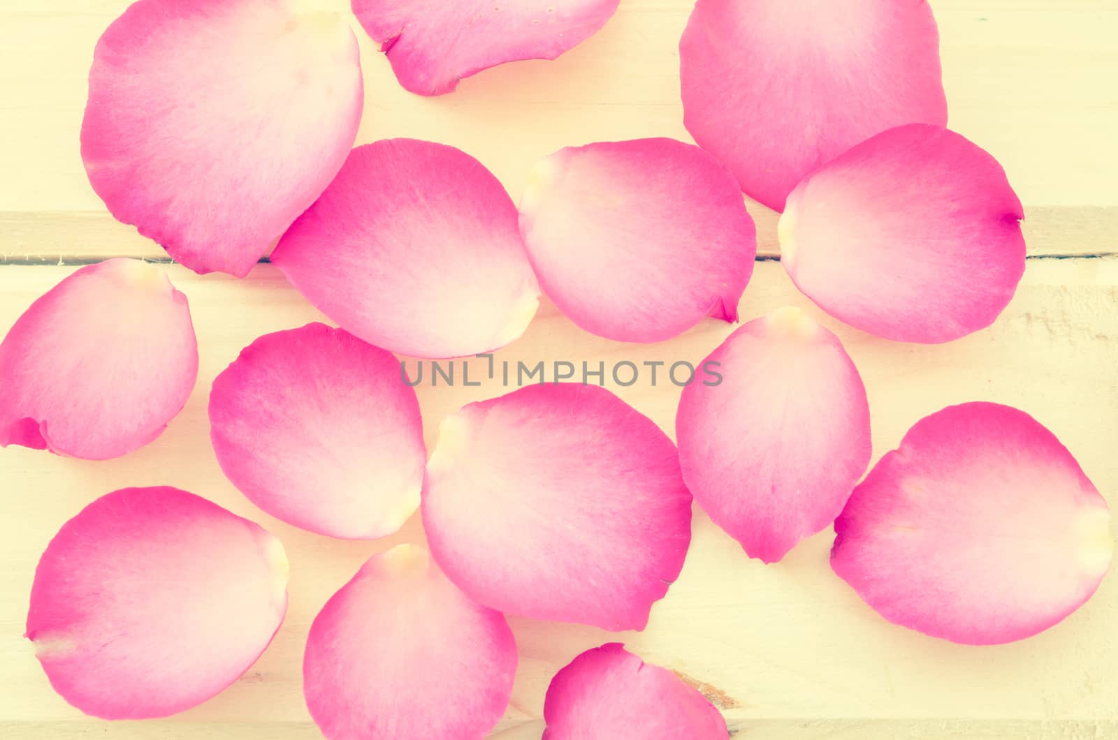 Vintage of pink roses petals on wooden background.