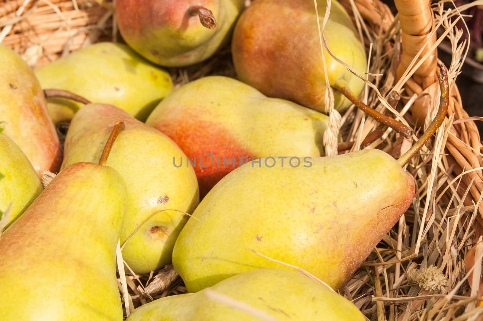 Fresh yellow and red pears as background