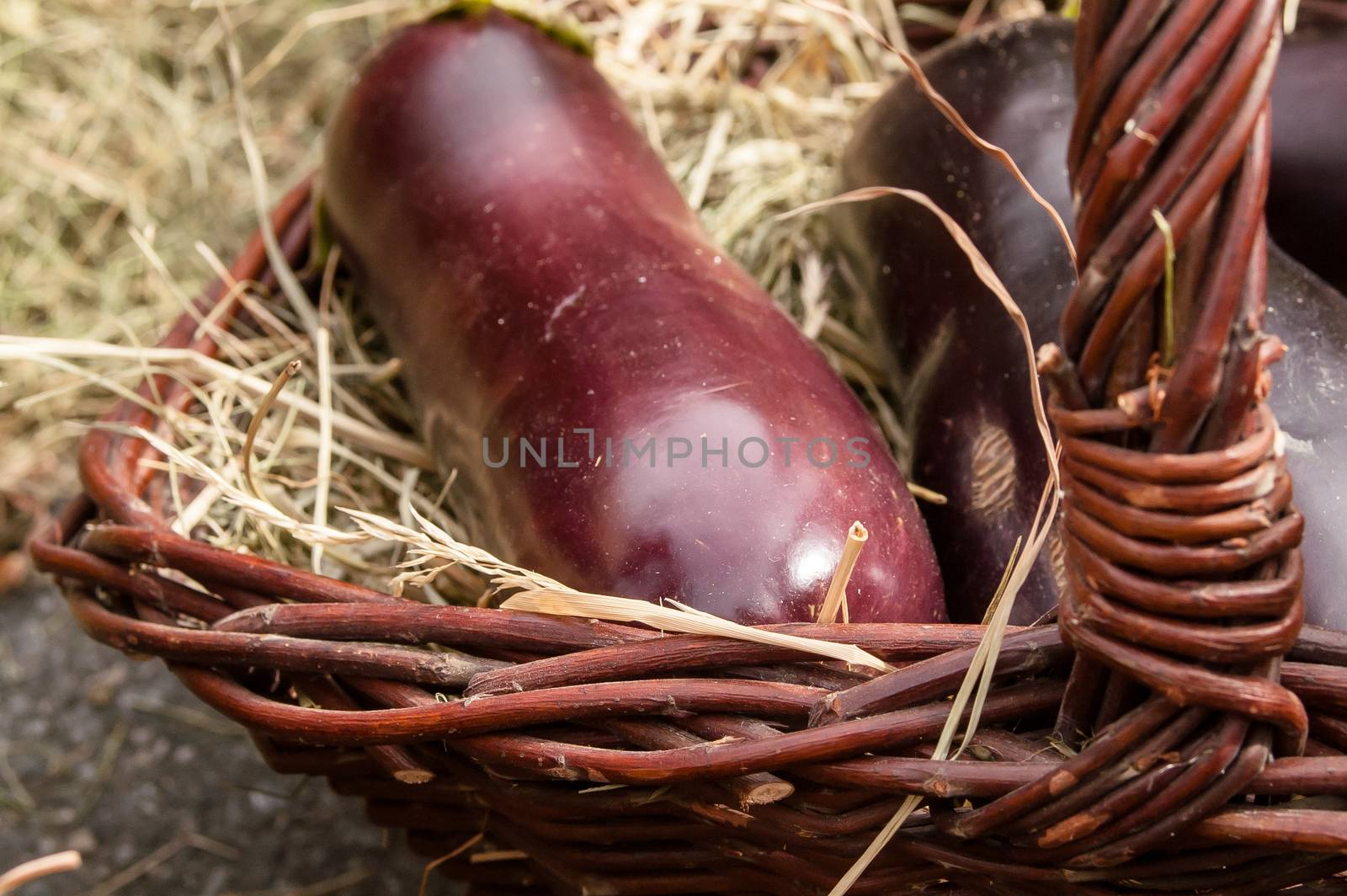 some lying eggplant in a basket new harvest