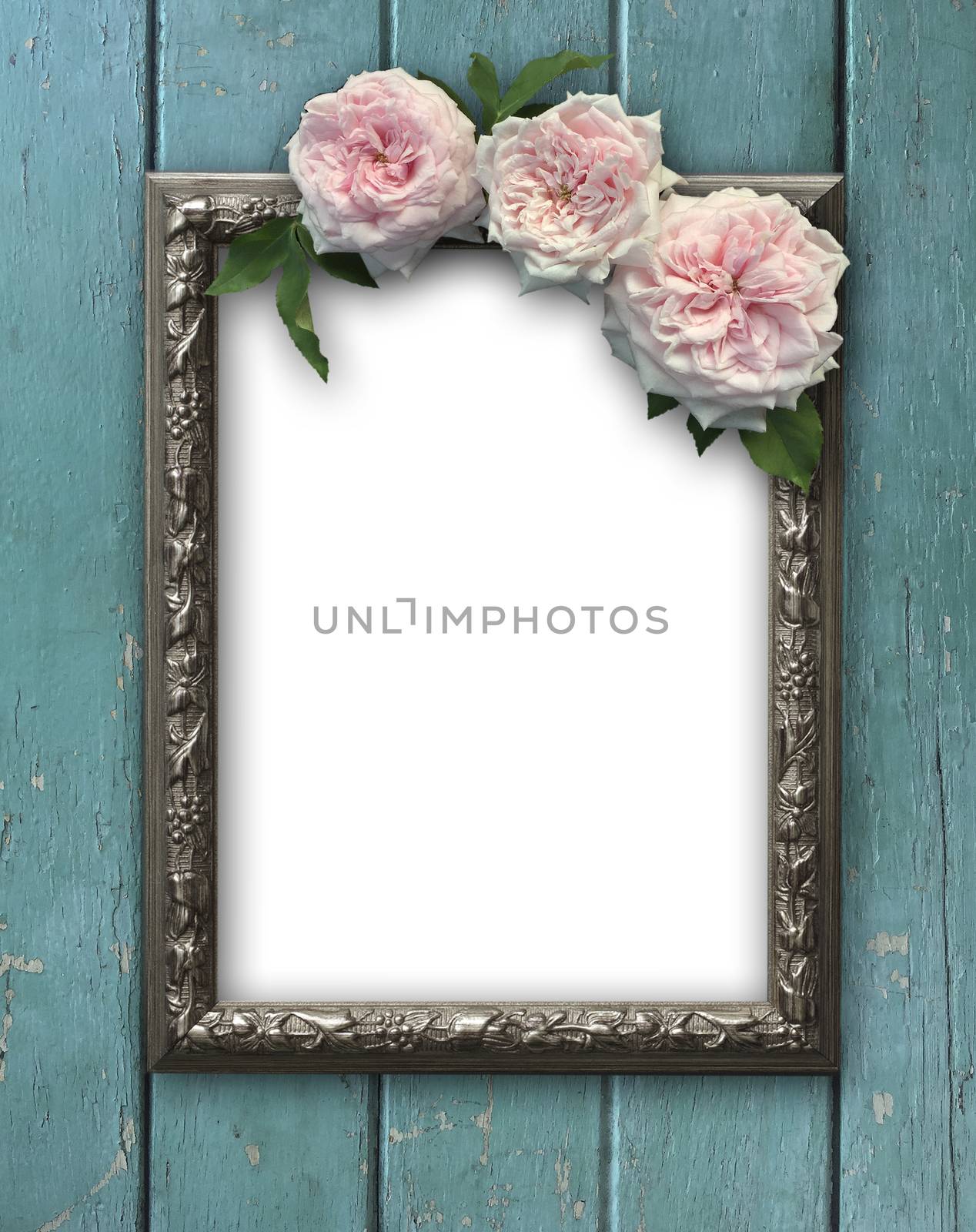 Vintage rose and blank photo frame on old wooden background
